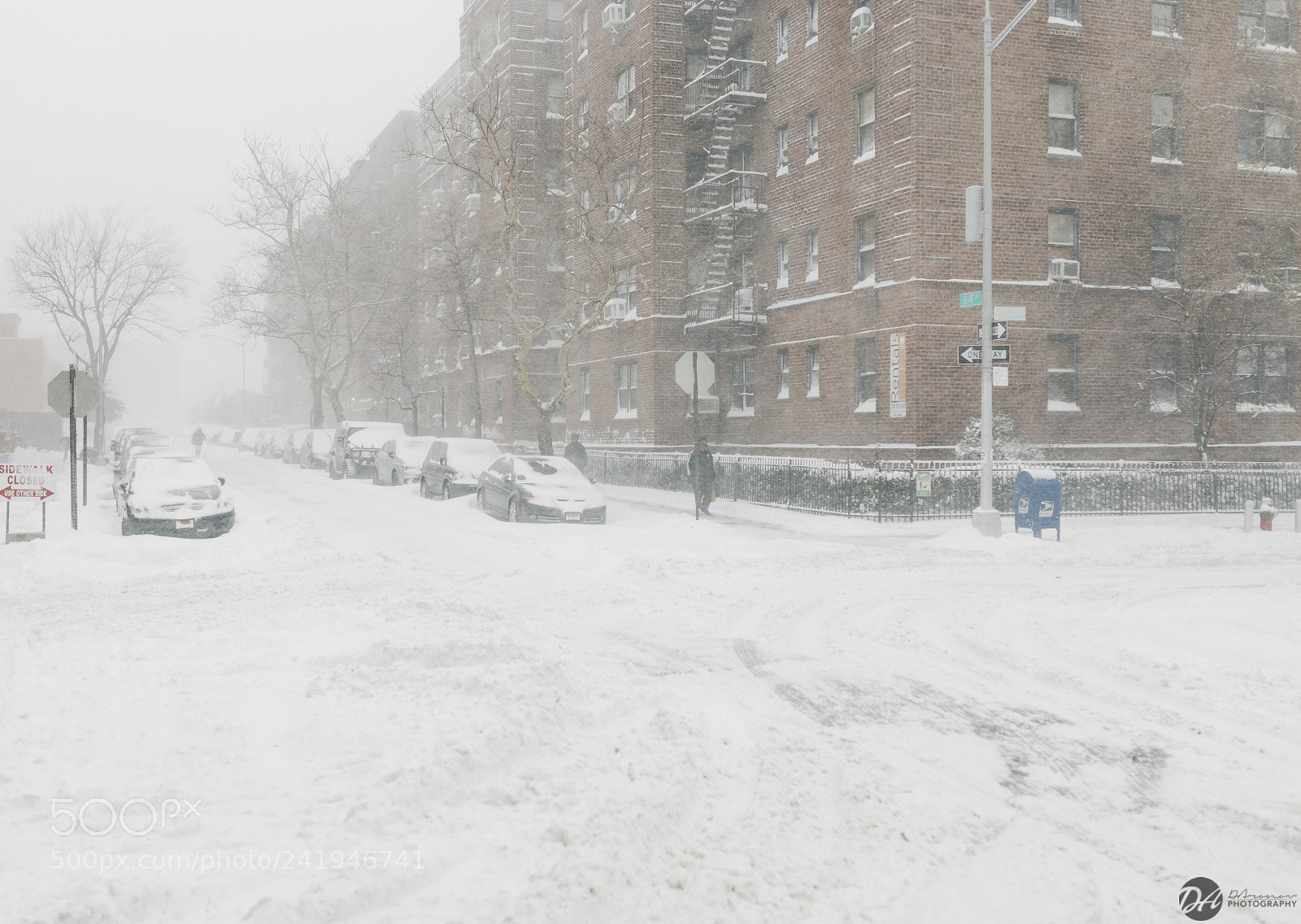 Canon EOS 6D Mark II sample photo. Rego park during winter photography