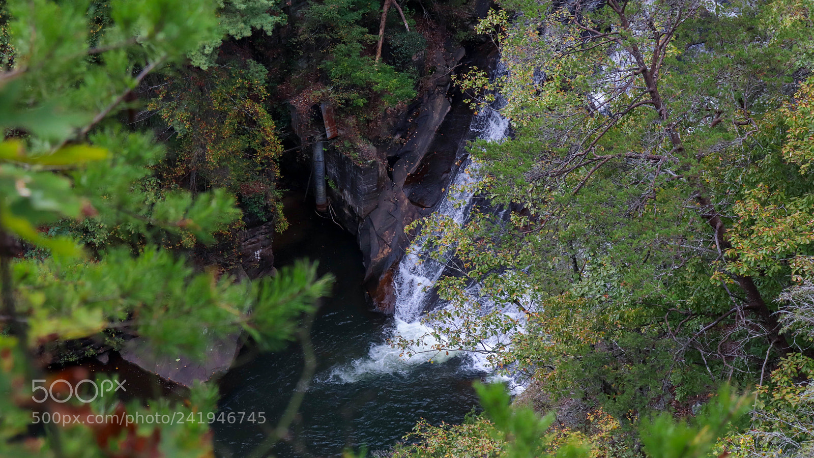 Canon EOS 77D (EOS 9000D / EOS 770D) sample photo. Img photography