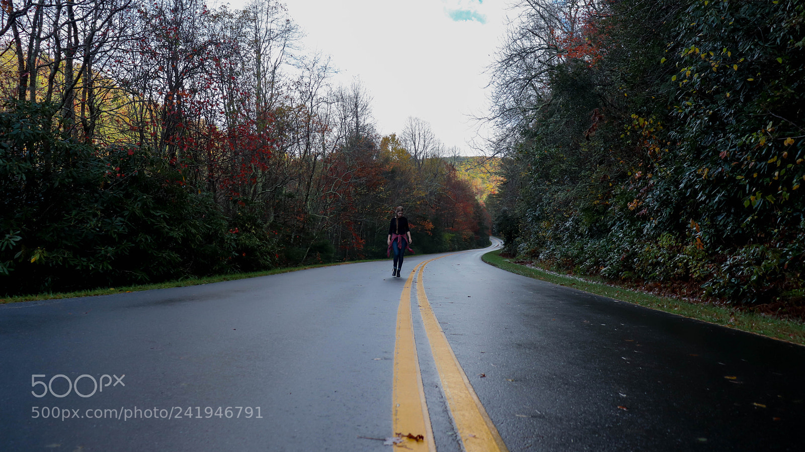 Canon EOS 77D (EOS 9000D / EOS 770D) sample photo. Img photography