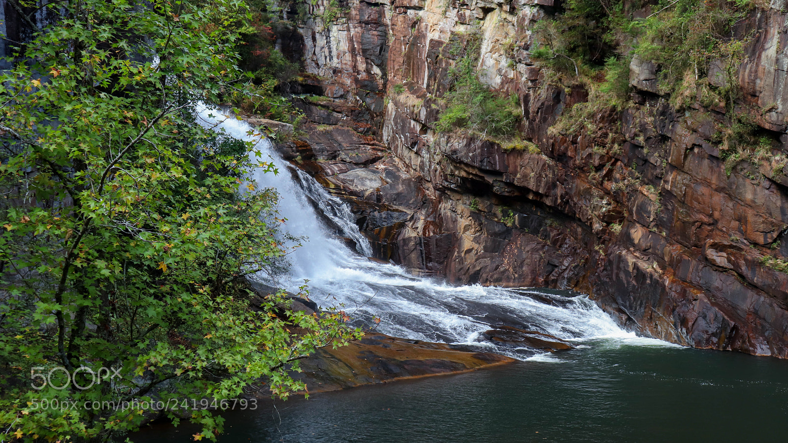 Canon EOS 77D (EOS 9000D / EOS 770D) sample photo. Img photography