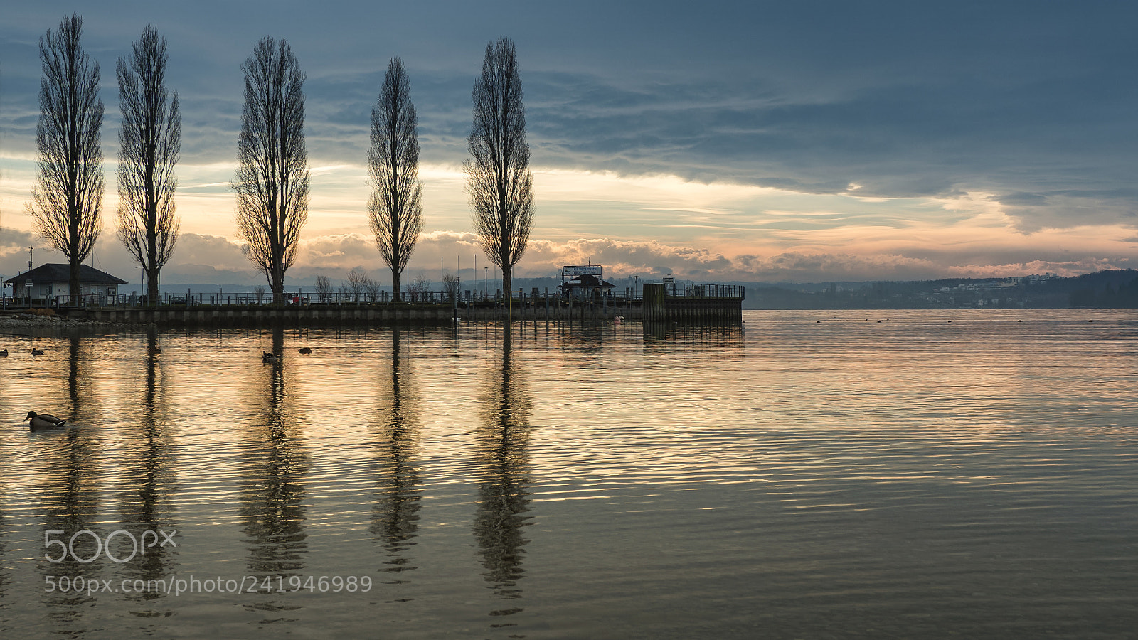 Olympus OM-D E-M5 II sample photo. Sunset at bodensee photography