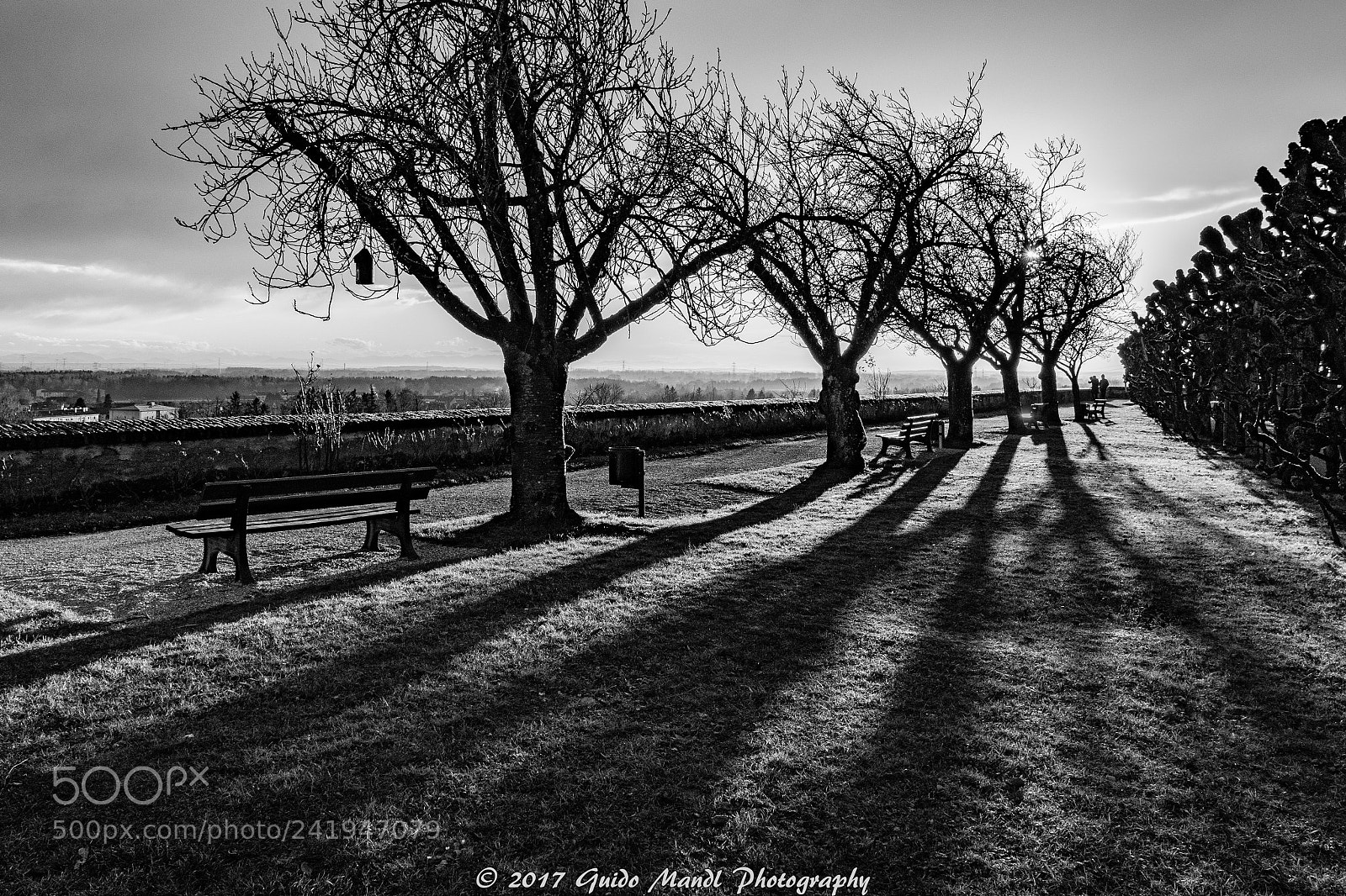 Panasonic Lumix DC-G9 sample photo. Long shadows photography