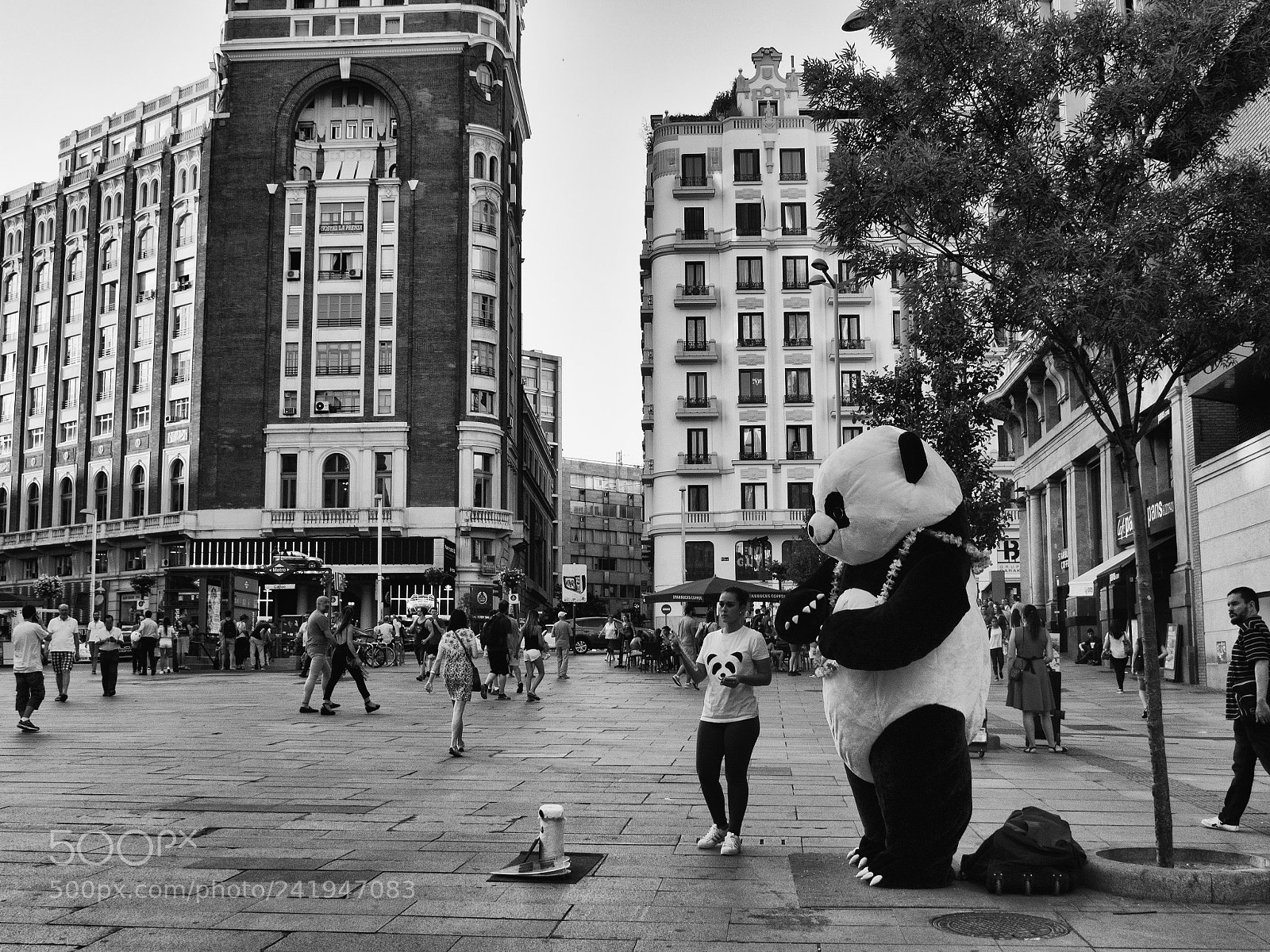 Olympus OM-D E-M1 sample photo. Street panda photography