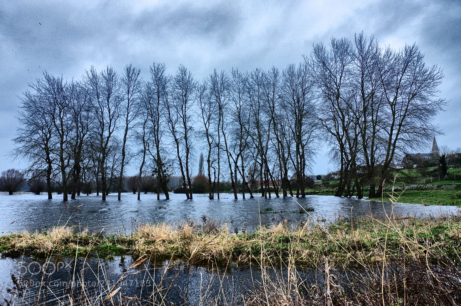 Pentax K-3 sample photo. Inondation marais bures photography