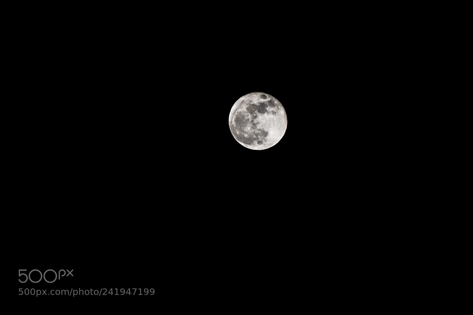 Nikon D7200 sample photo. Luna photography