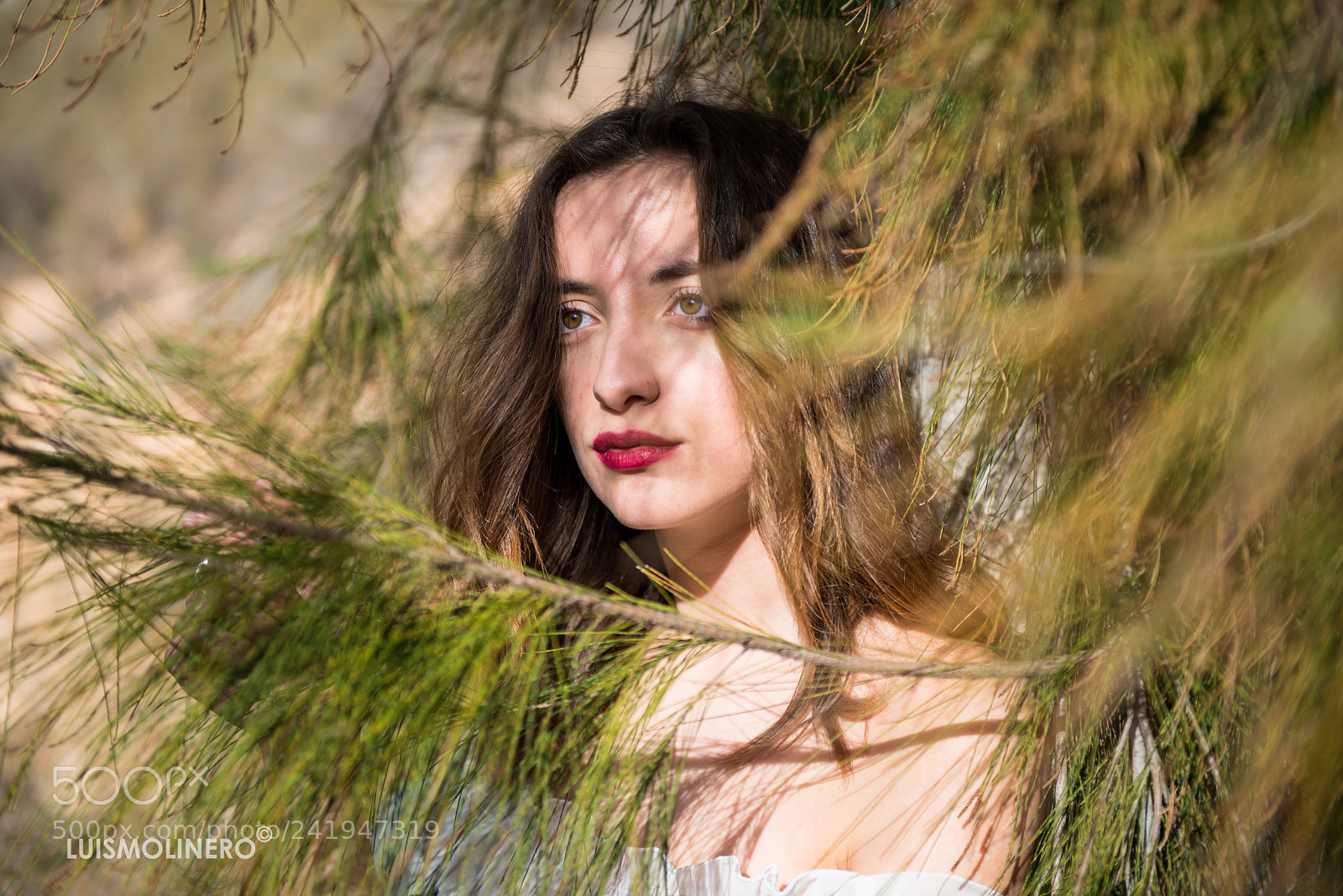 Nikon D800 sample photo. Copia photography