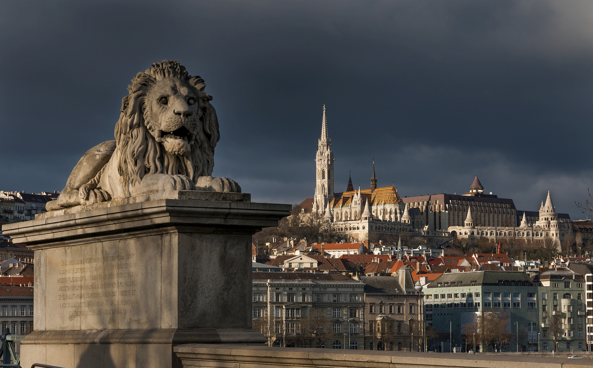 Nikon D300S sample photo. The guardians of the chain bridge - budapest (4) photography