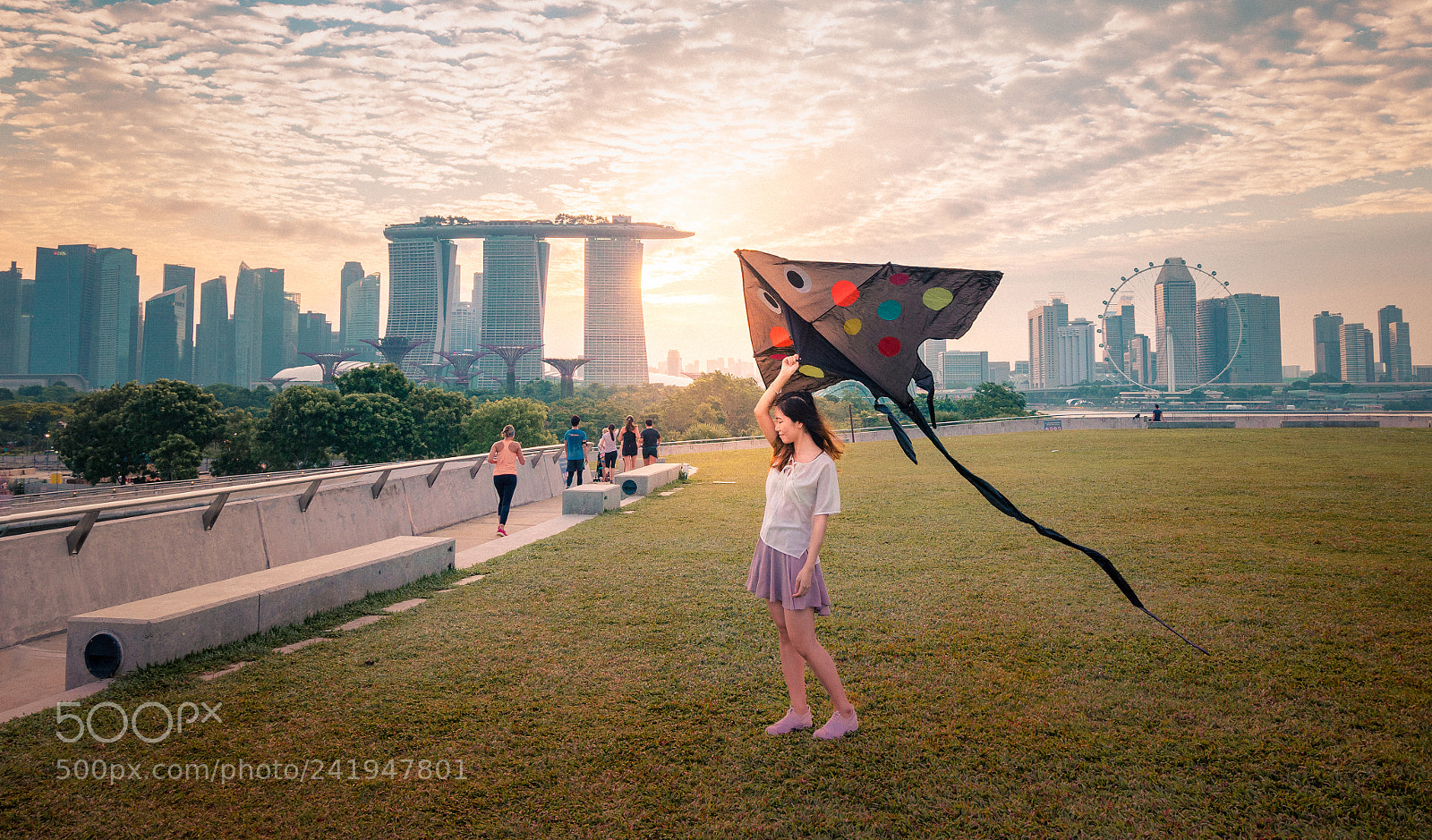 Sony a7 II sample photo. Kite runner photography