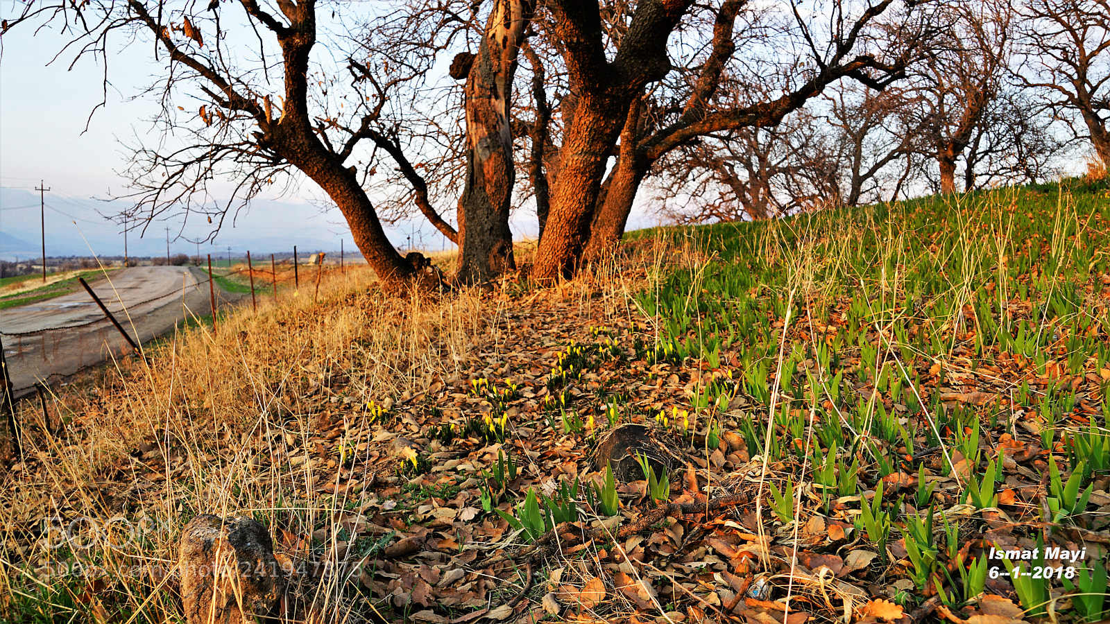 Sony a7 II sample photo. 19.jpg photography