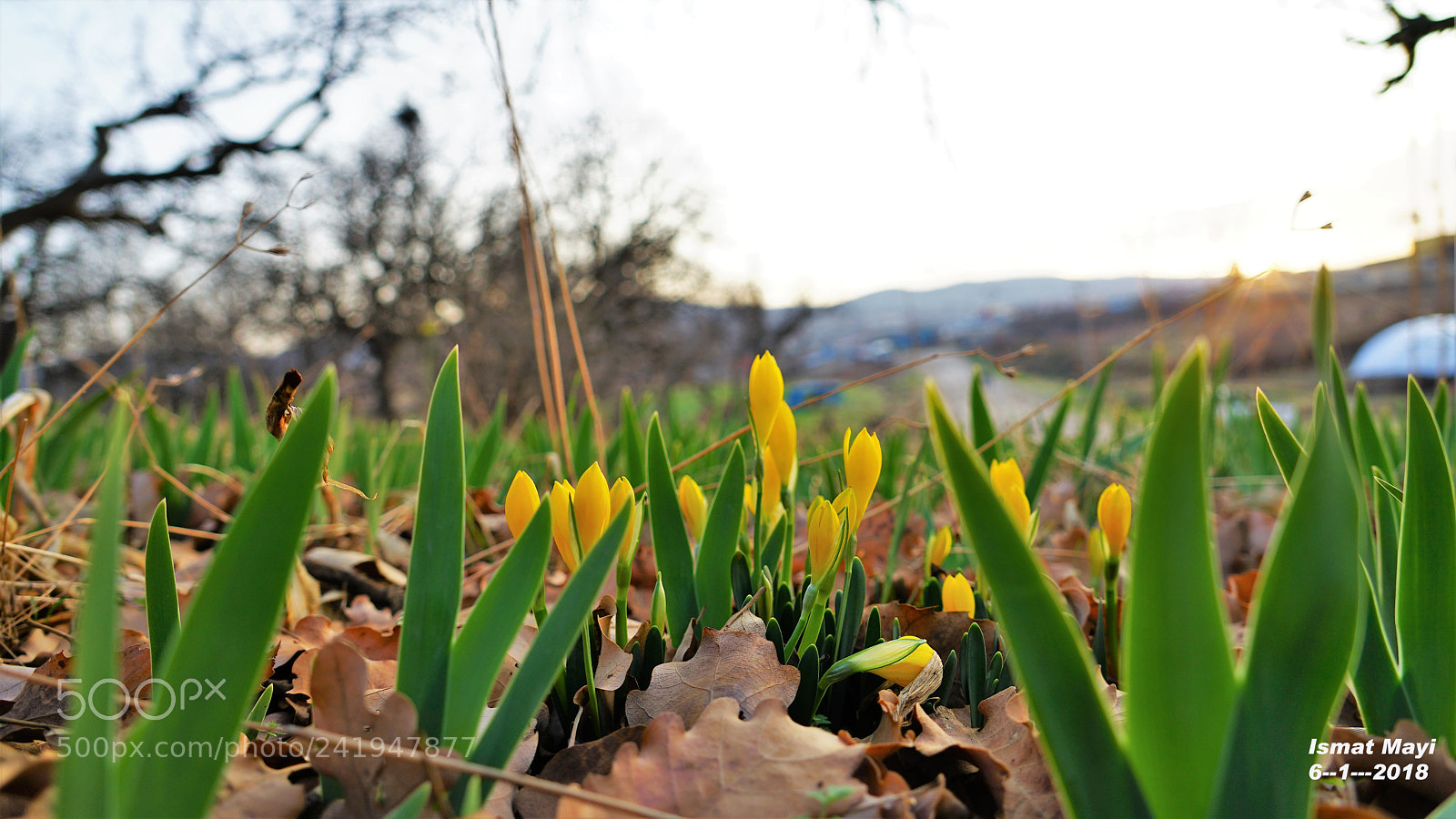 Sony a7 II sample photo. 29.jpg photography