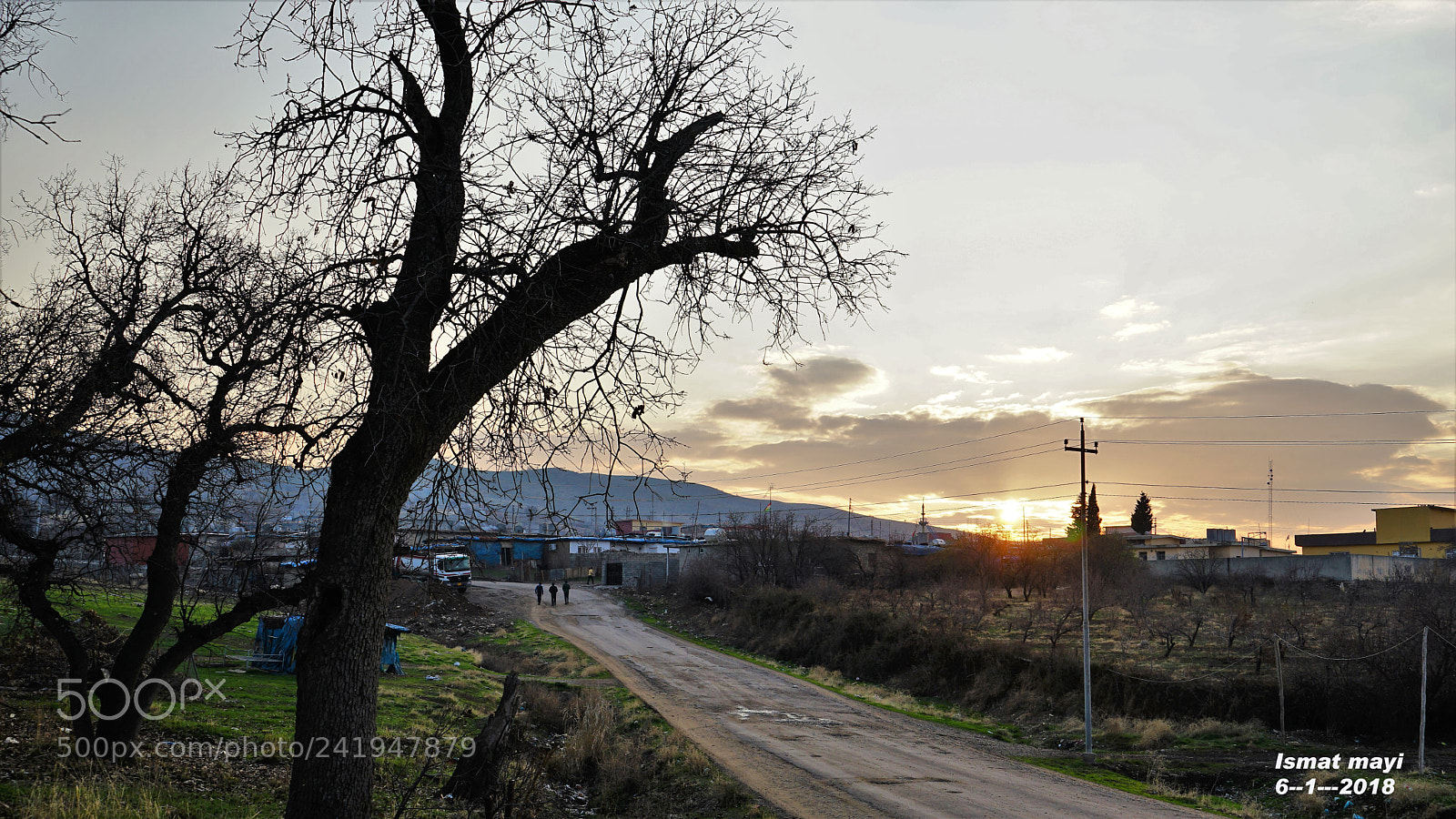 Sony a7 II sample photo. 31.jpg photography