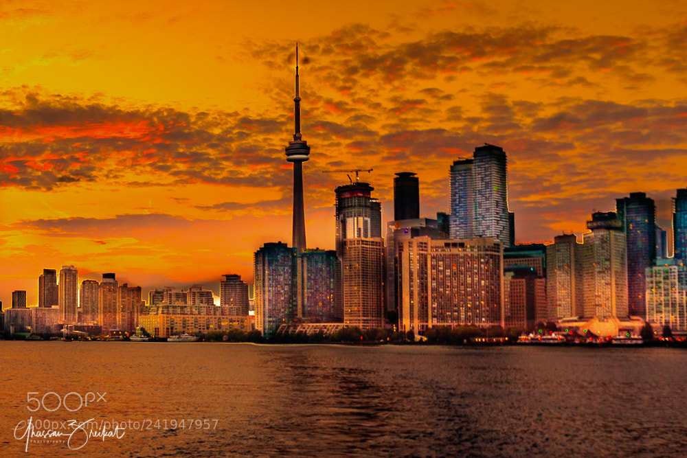 Canon EOS-1D X Mark II sample photo. Toronto photography