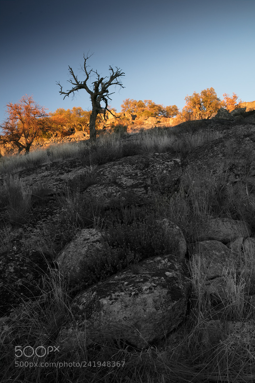 Canon EOS 5DS R sample photo. Na photography