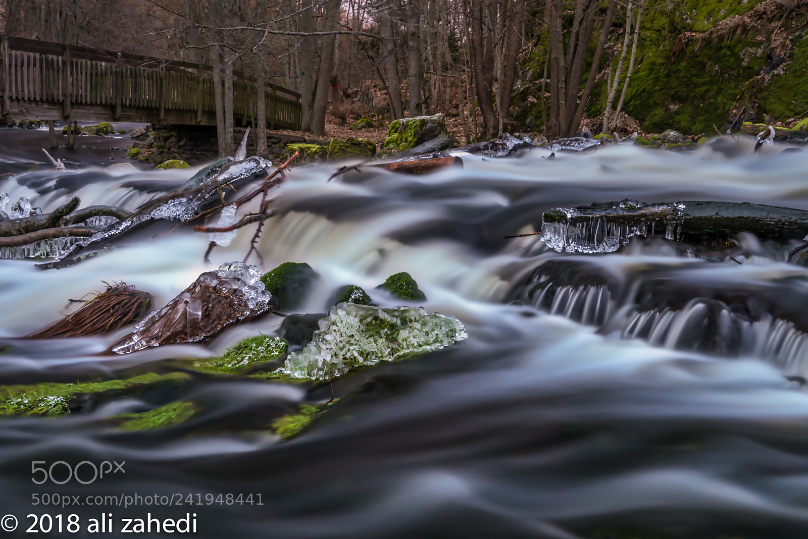Nikon D810 sample photo. S:nyf photography