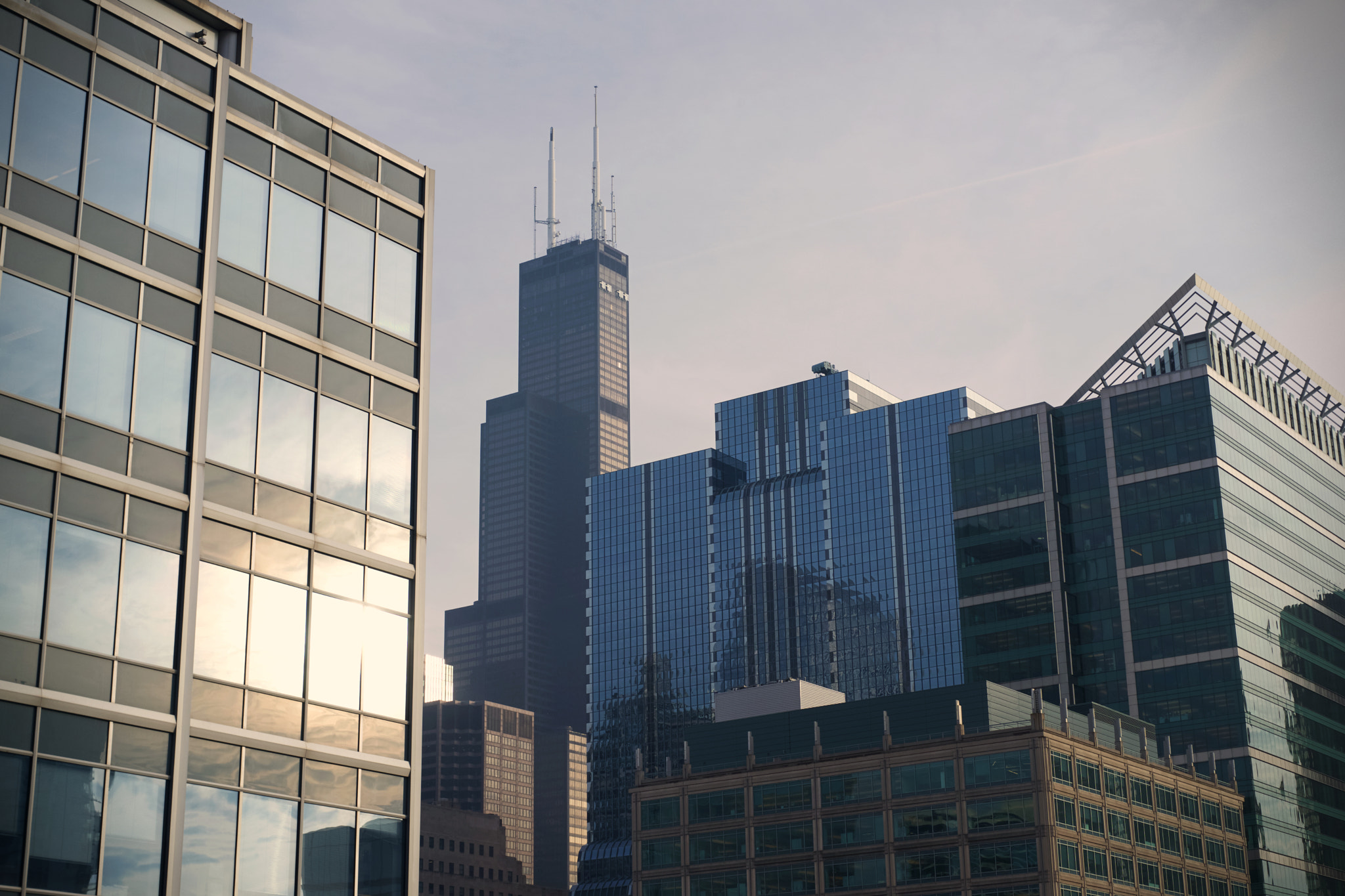 Sony a7 II + Sony Sonnar T* FE 55mm F1.8 ZA sample photo. West loop photography