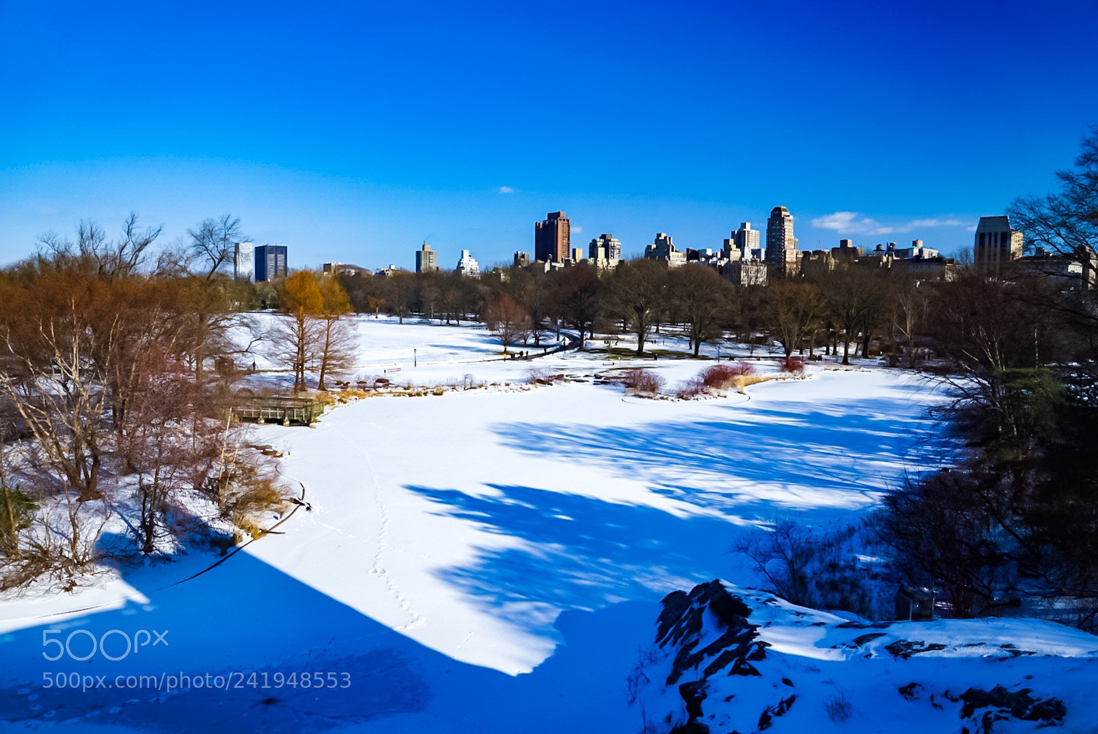 Sony ILCA-77M2 sample photo. Beautiful day at central photography