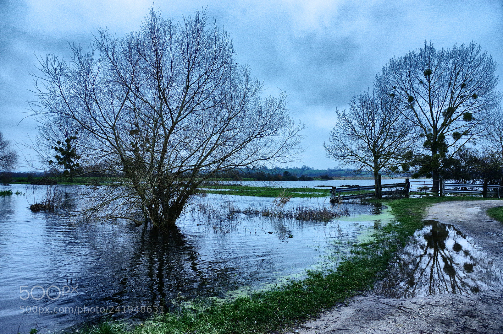 Pentax K-3 sample photo. Inondation bures marais photography