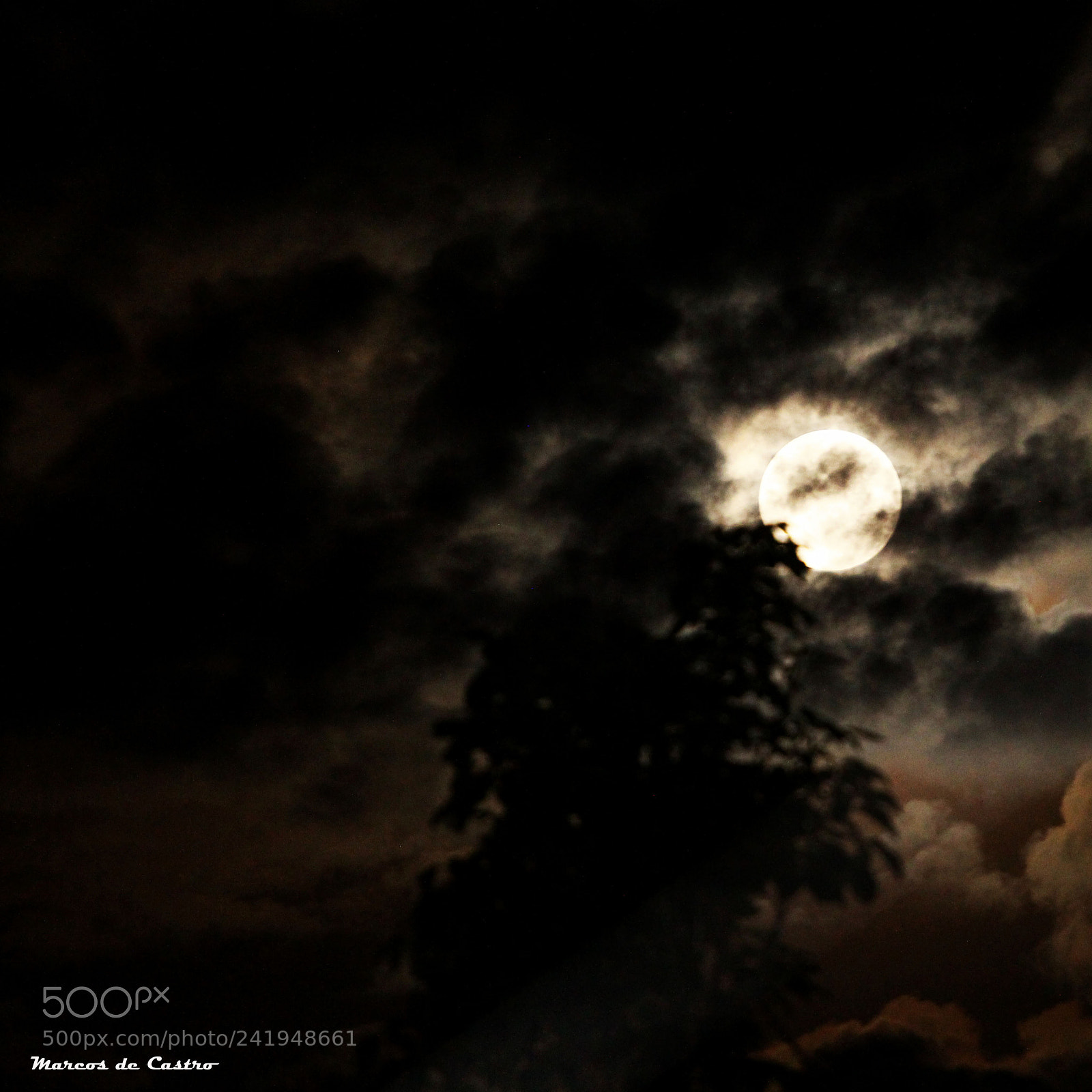 Canon EOS 700D (EOS Rebel T5i / EOS Kiss X7i) sample photo. Photo essay the moon photography
