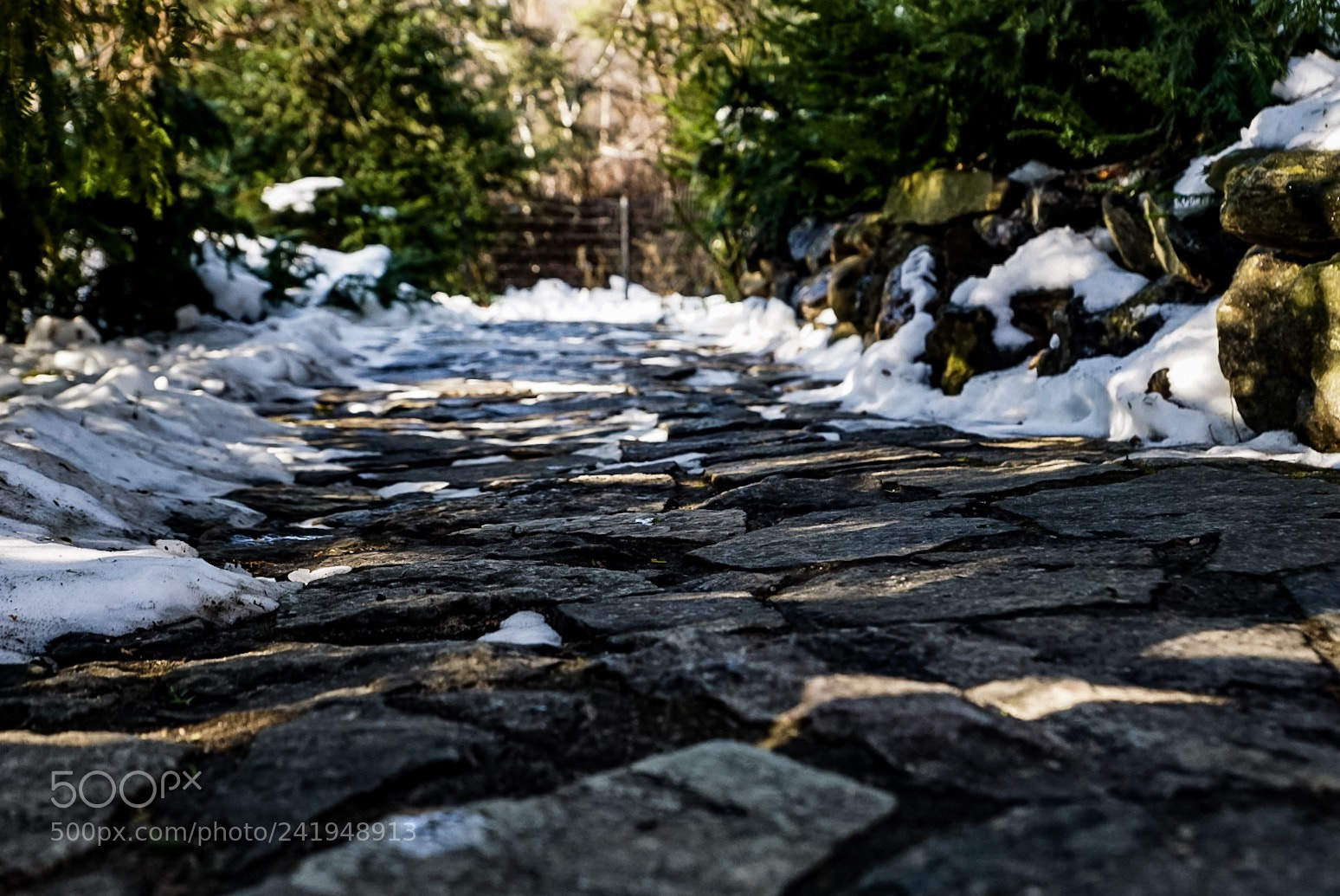 Sony ILCA-77M2 sample photo. The road we travel photography