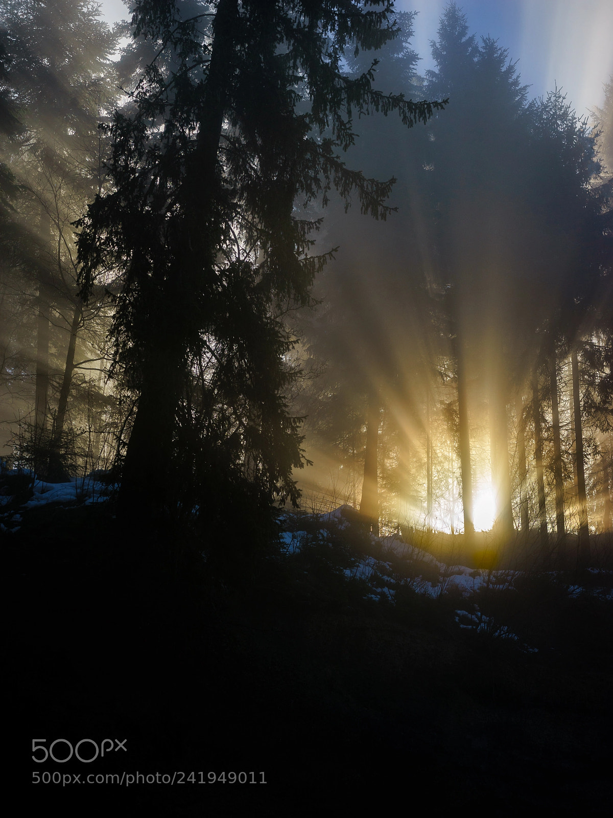 Sony a7 sample photo. ??? they are coming ??? photography