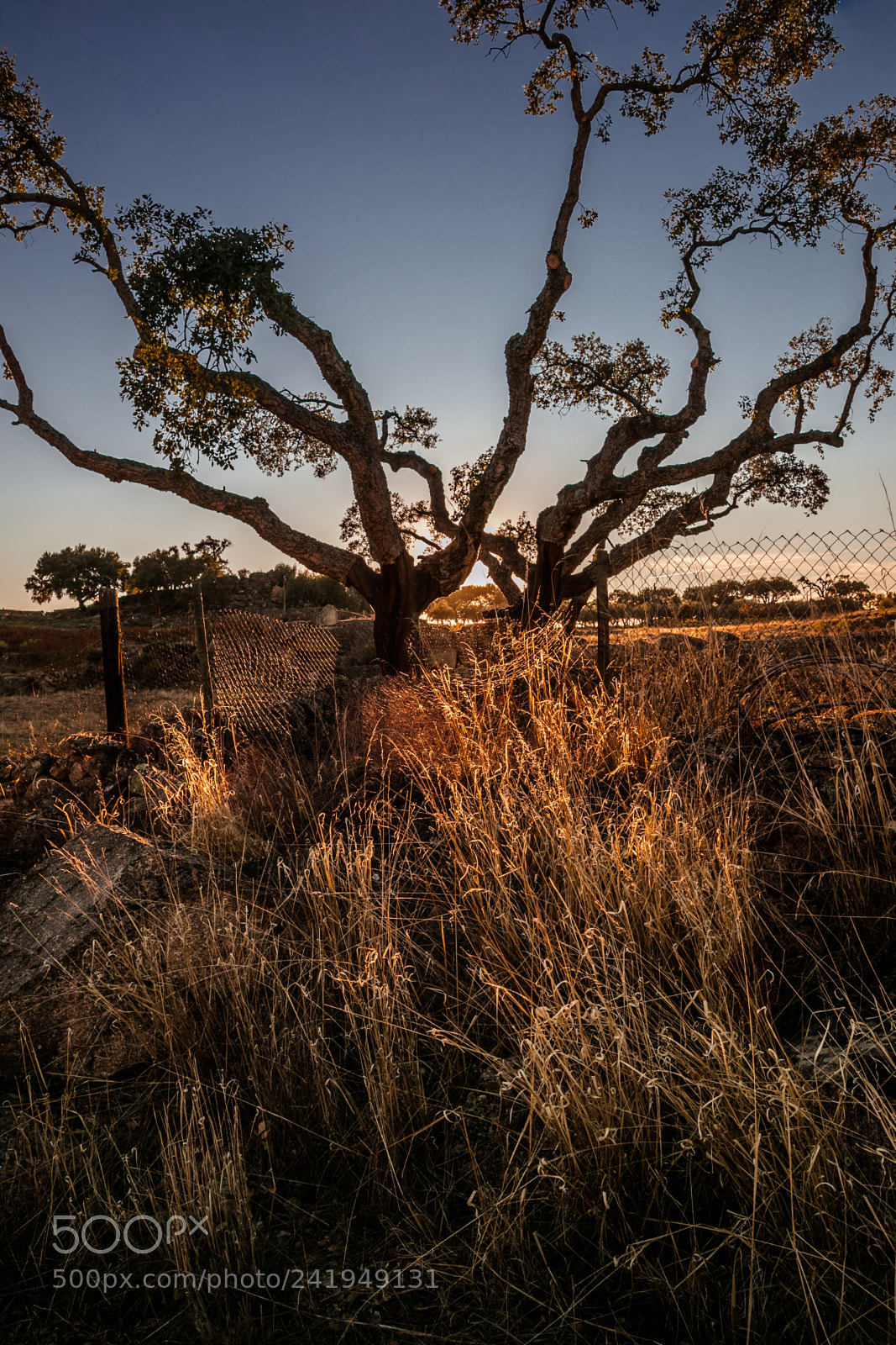 Canon EOS 5DS R sample photo. Na photography