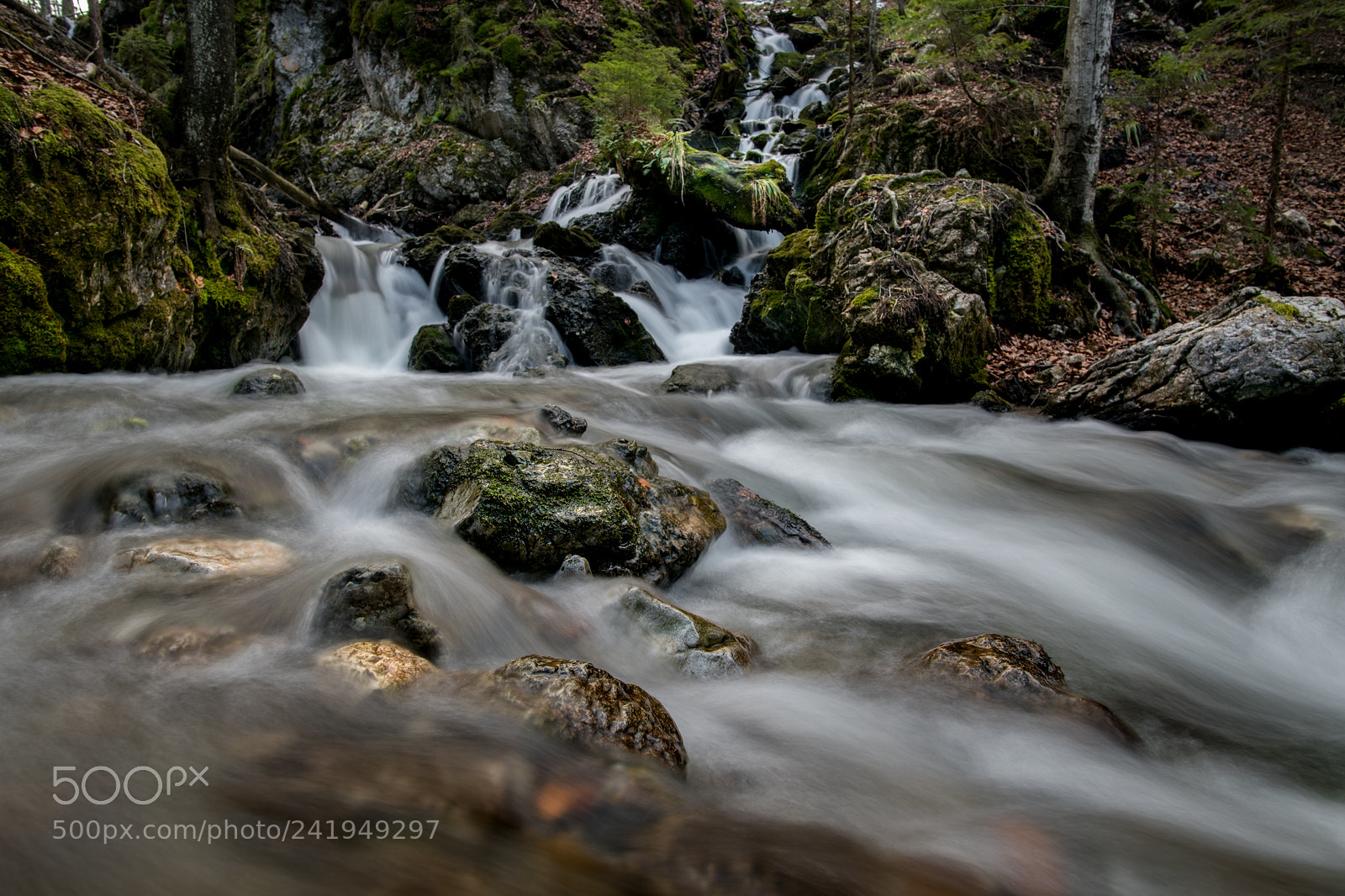 Nikon D850 sample photo. Wild mountain river photography