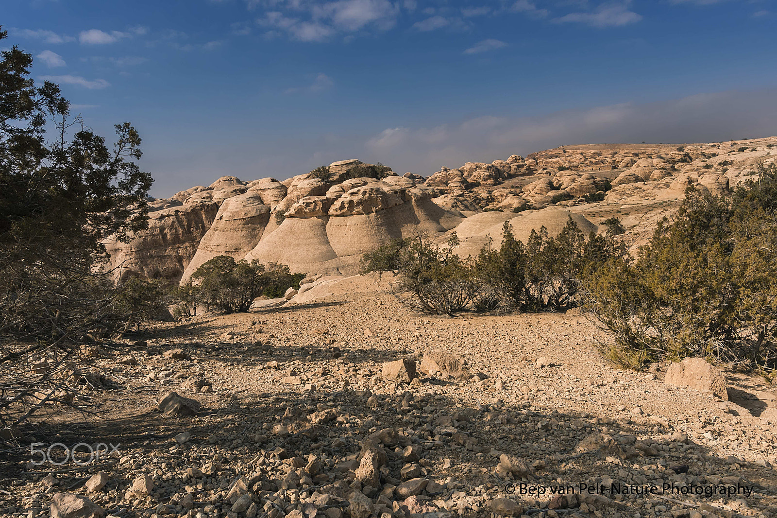 Nikon D500 sample photo. Created by wind and rain photography