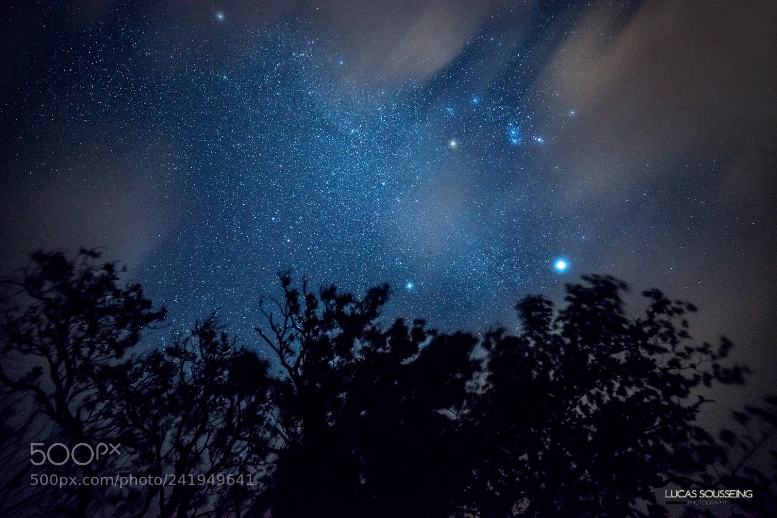 Nikon D800 sample photo. Constellation photography