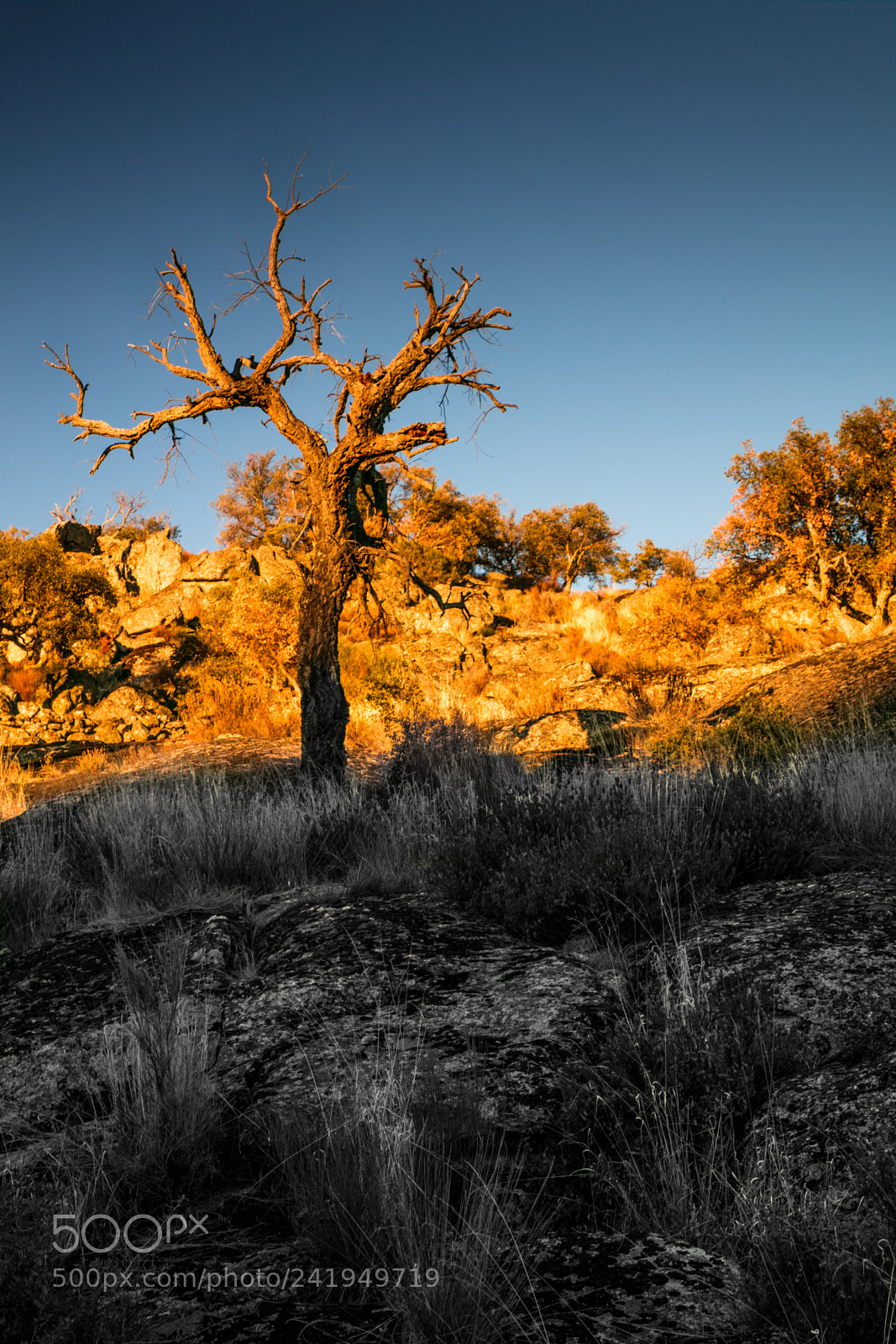 Canon EOS 5DS R sample photo. Na photography