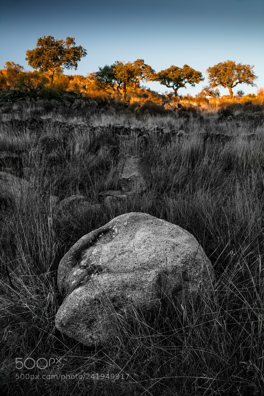 Canon EOS 5DS R sample photo. Na photography