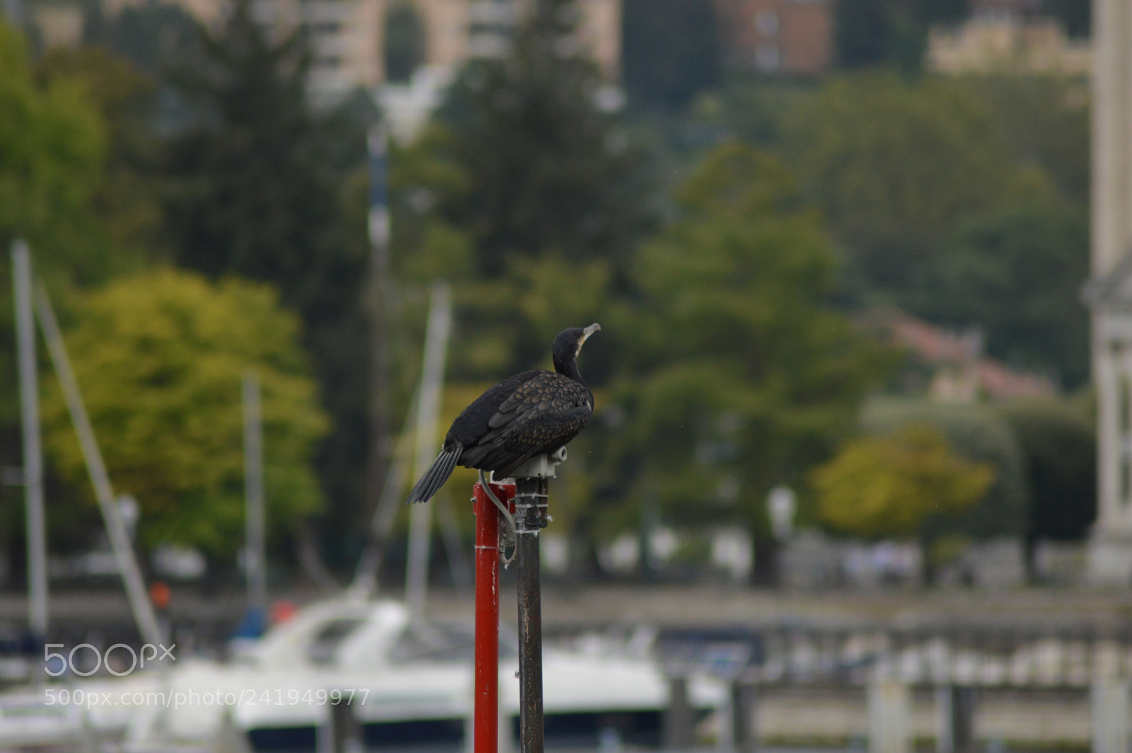 Nikon D3200 sample photo. Untitled photography