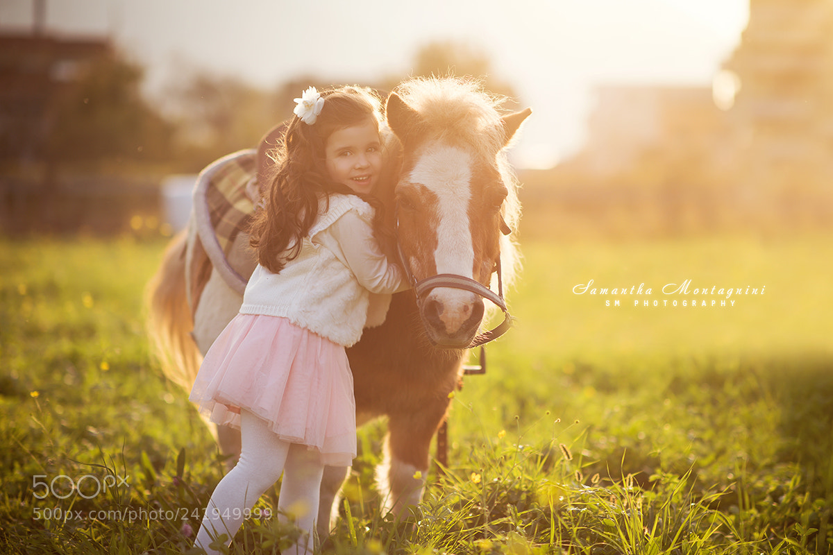 Nikon D810 sample photo. Pony love photography