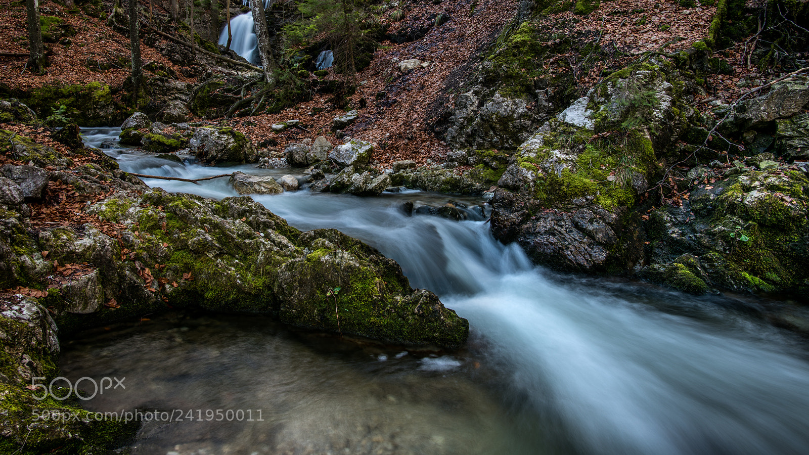 Nikon D850 sample photo. Water always finds its photography