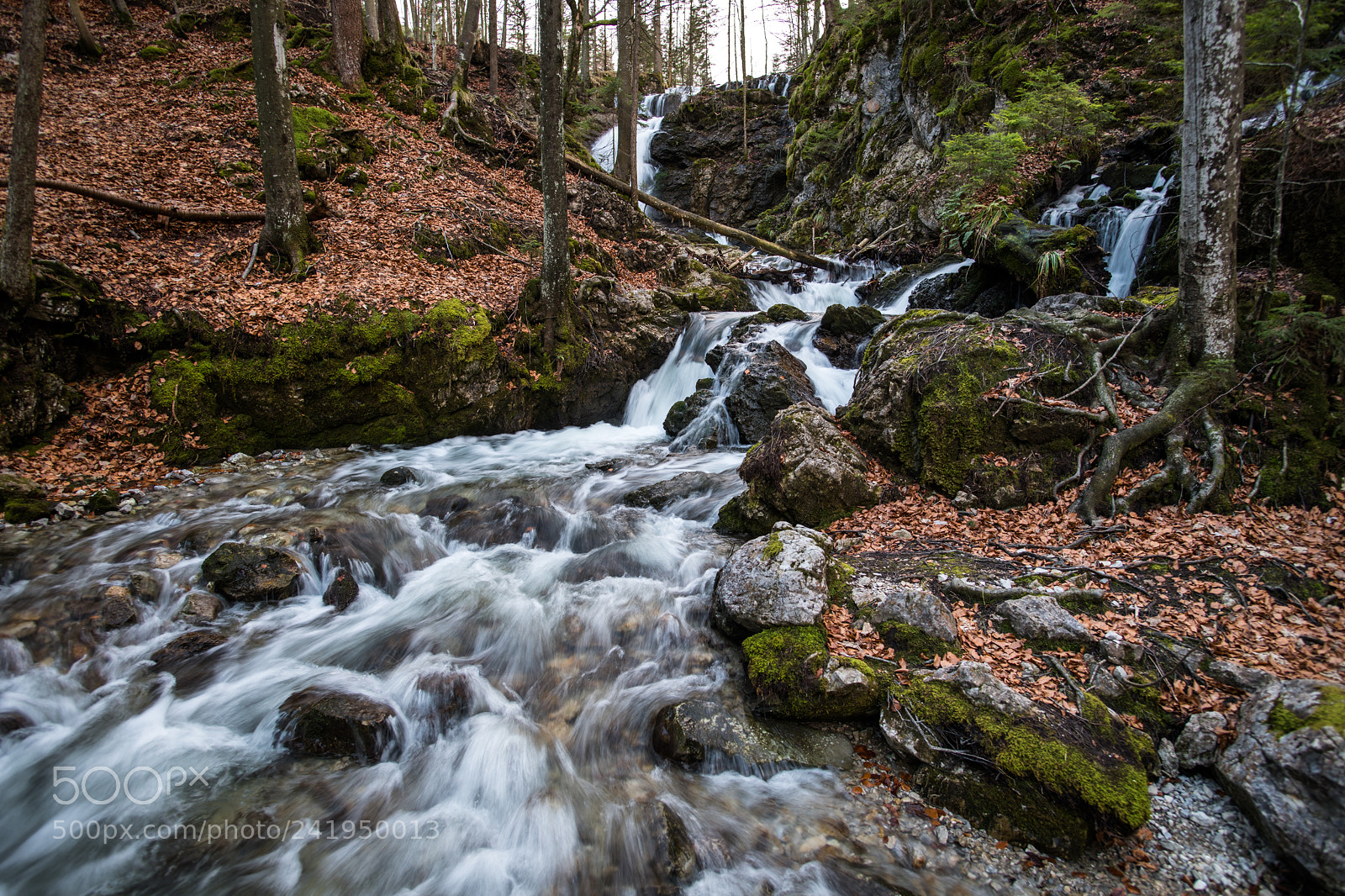 Nikon D850 sample photo. Water always finds its photography
