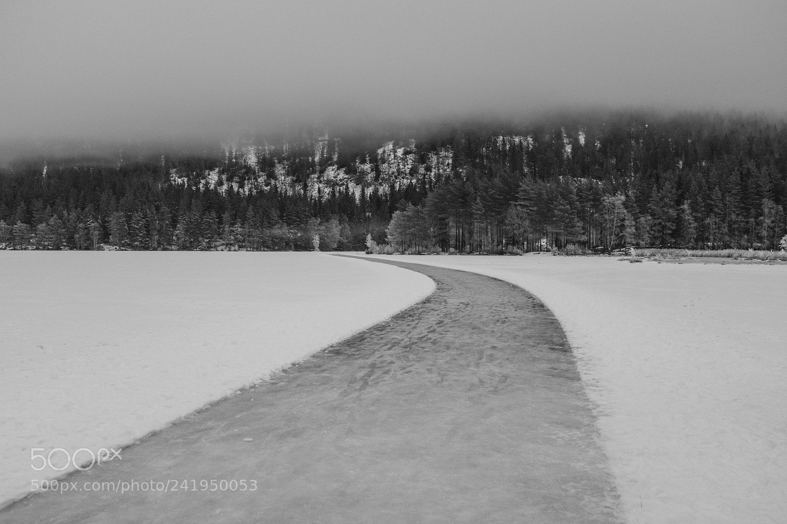 Fujifilm X100F sample photo. Frozen photography