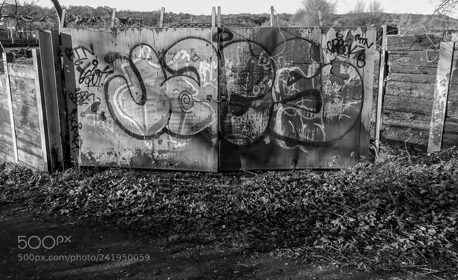 Sony Cyber-shot DSC-WX350 sample photo. Graffiti on old gates photography