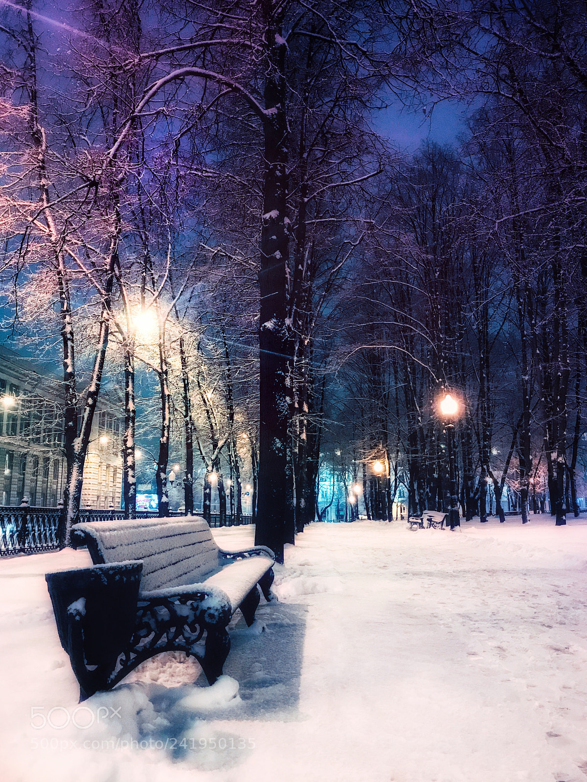 Apple iPhone 7 sample photo. Fairytale winter photography