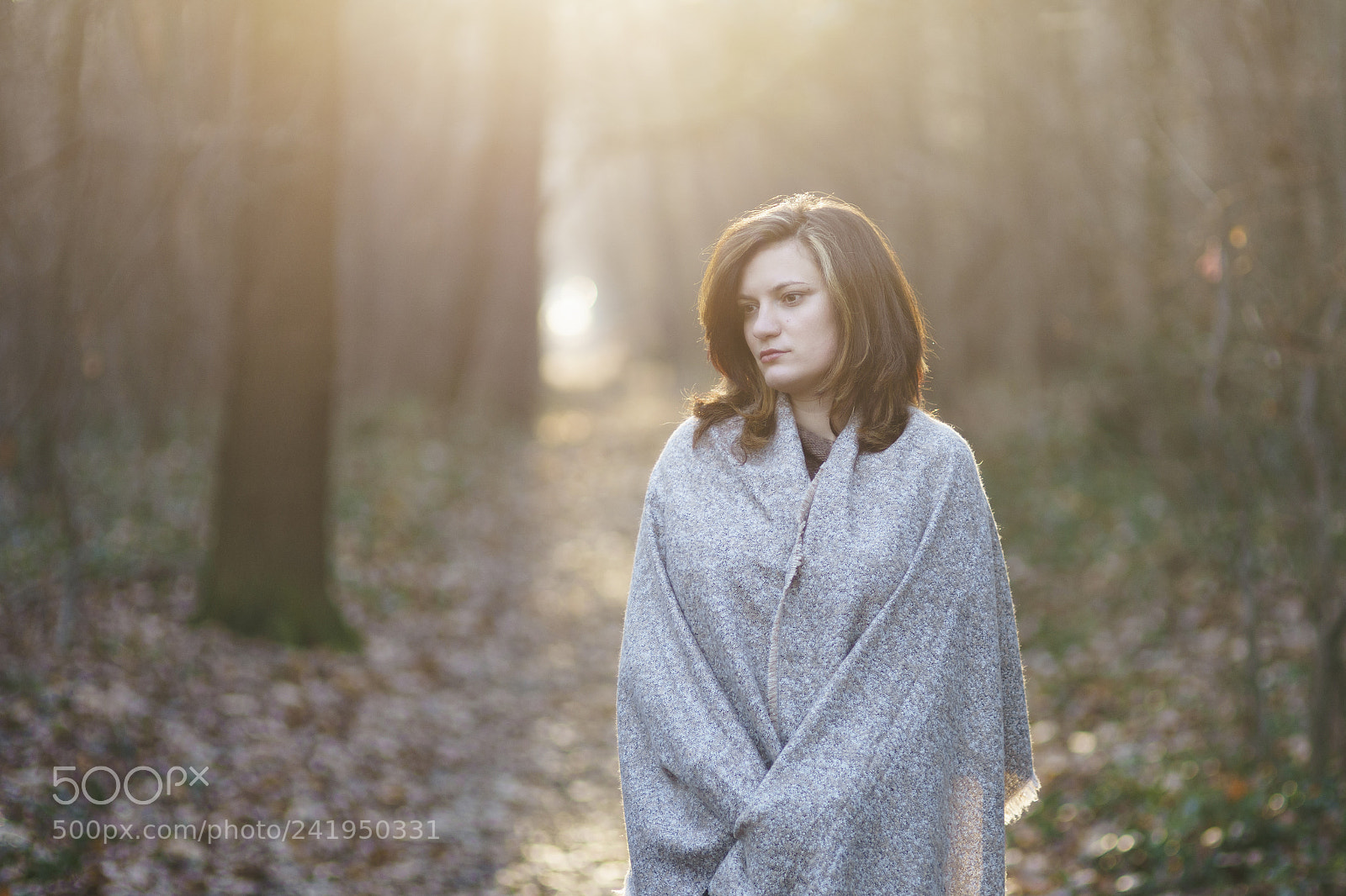 Sony a7 II sample photo. Untitled photography