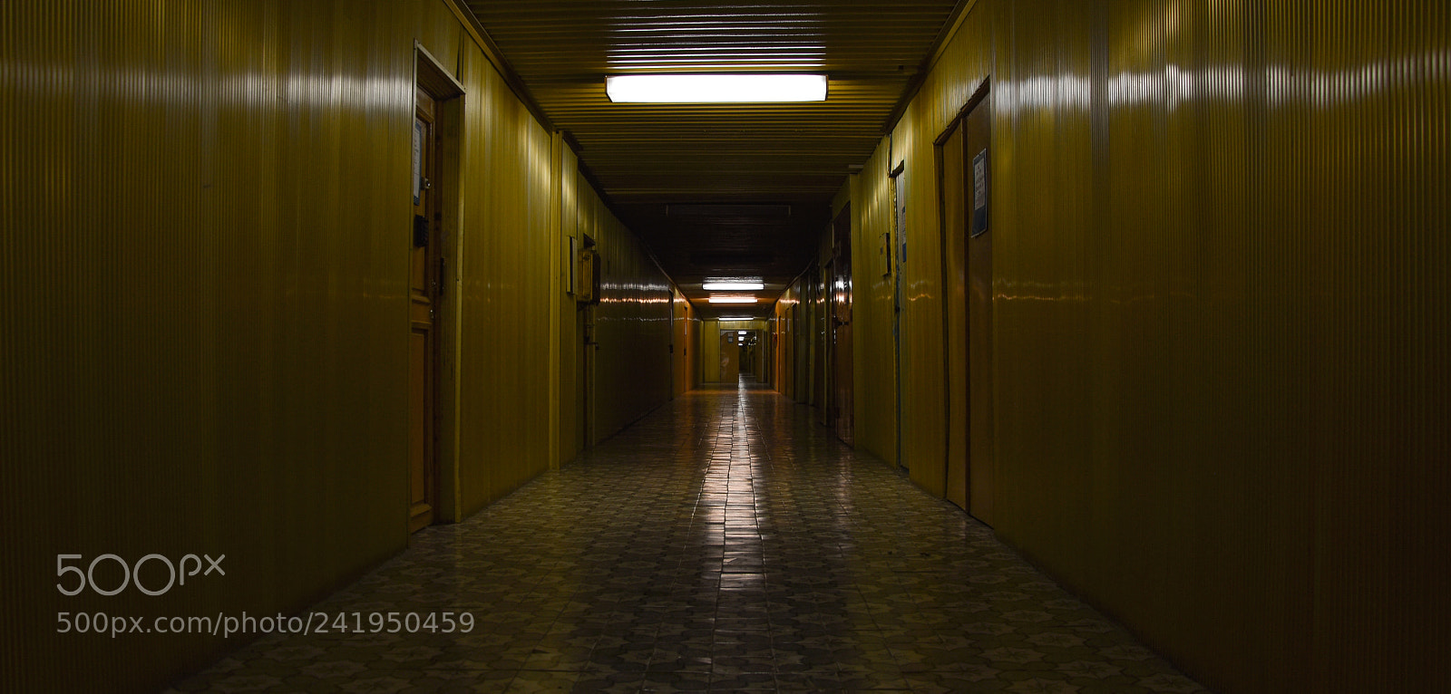 Nikon D5500 sample photo. Golden corridor photography