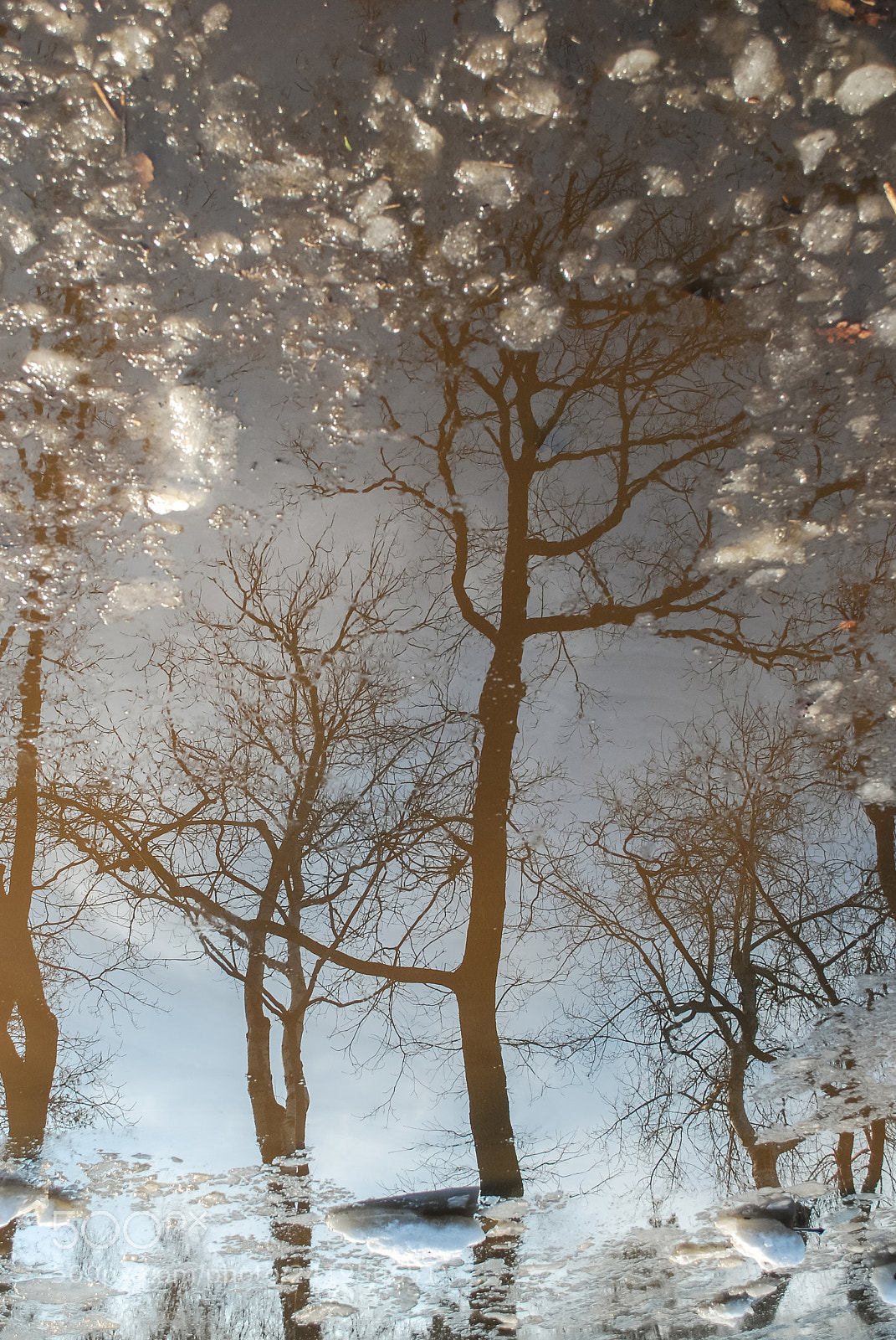 Nikon D60 sample photo. Reflection photography