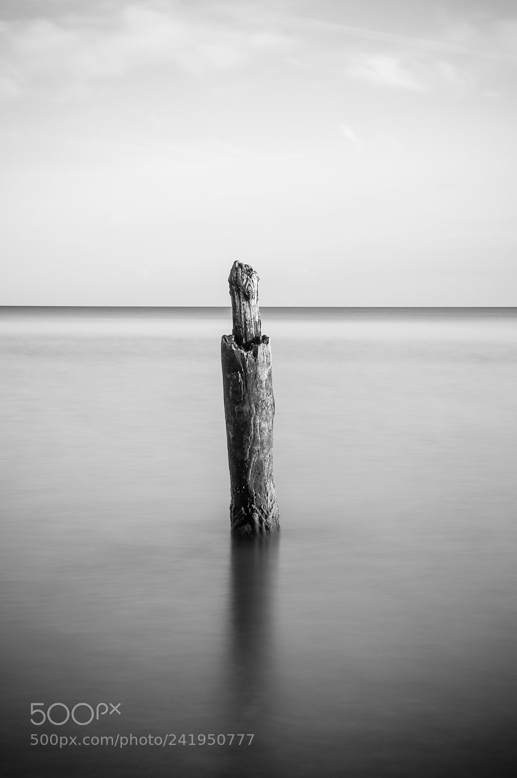 Nikon D300S sample photo. Lonely photography