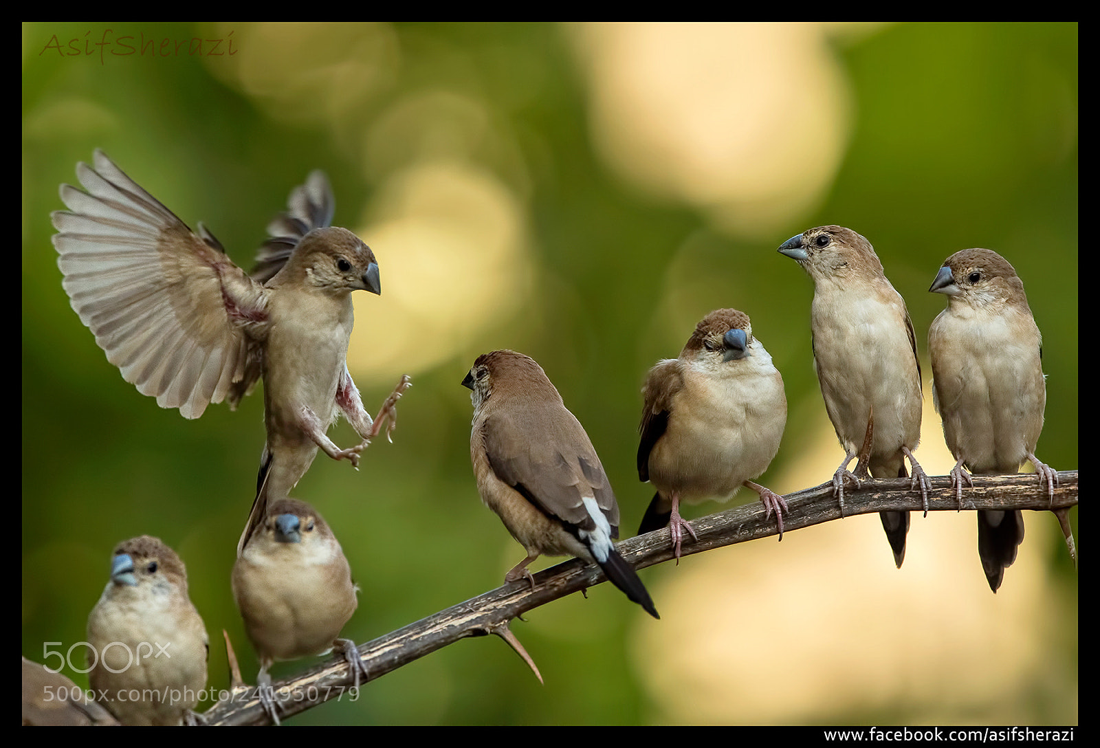 Nikon D5 sample photo. Beauty of the nature photography