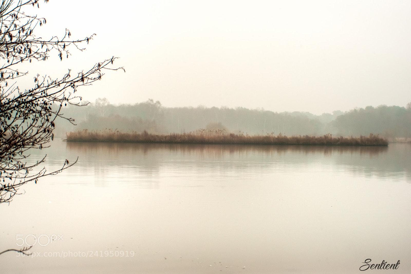 Nikon D800 sample photo. Serenity photography