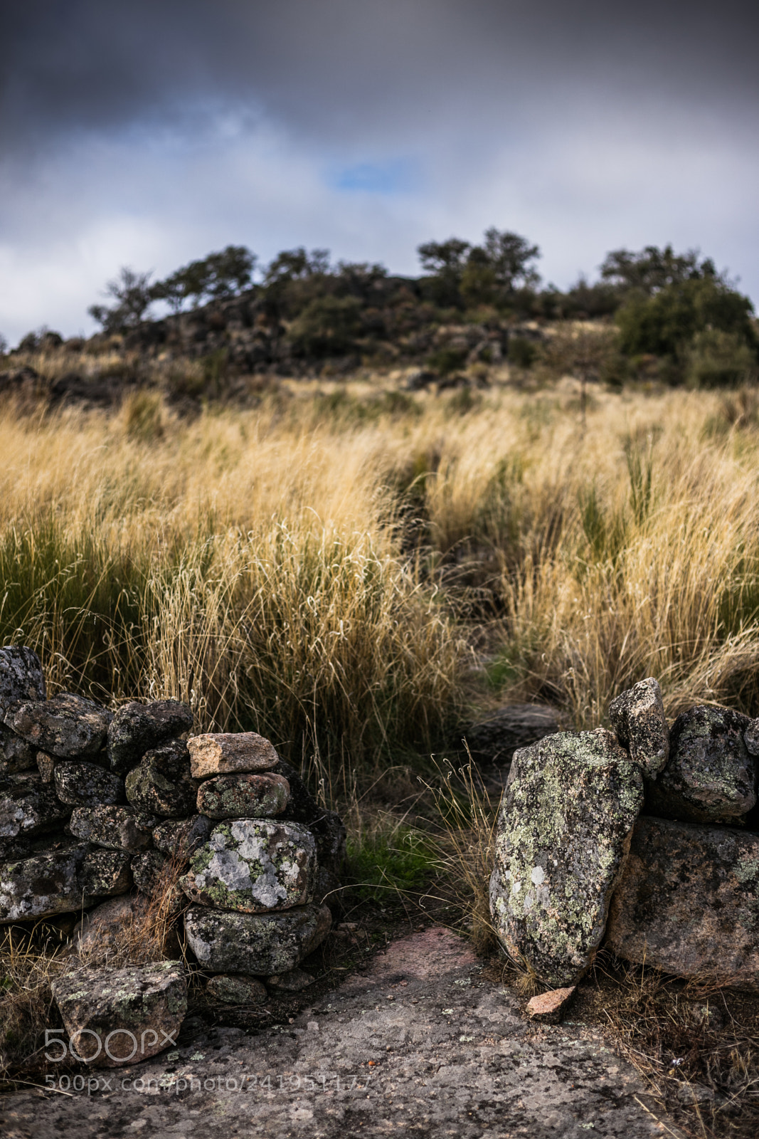 Canon EOS 5DS R sample photo. Na photography