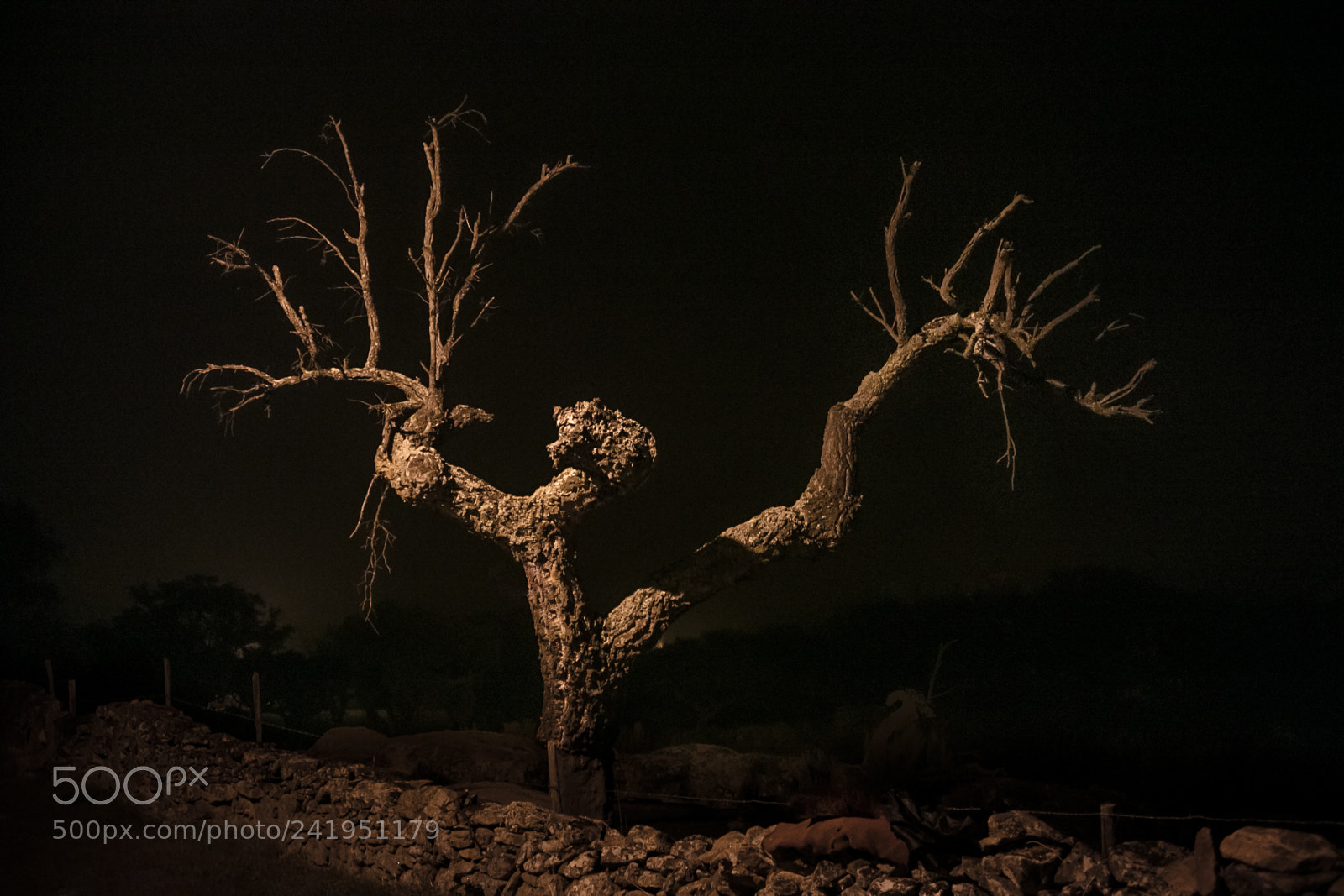 Canon EOS 5DS R sample photo. Na photography