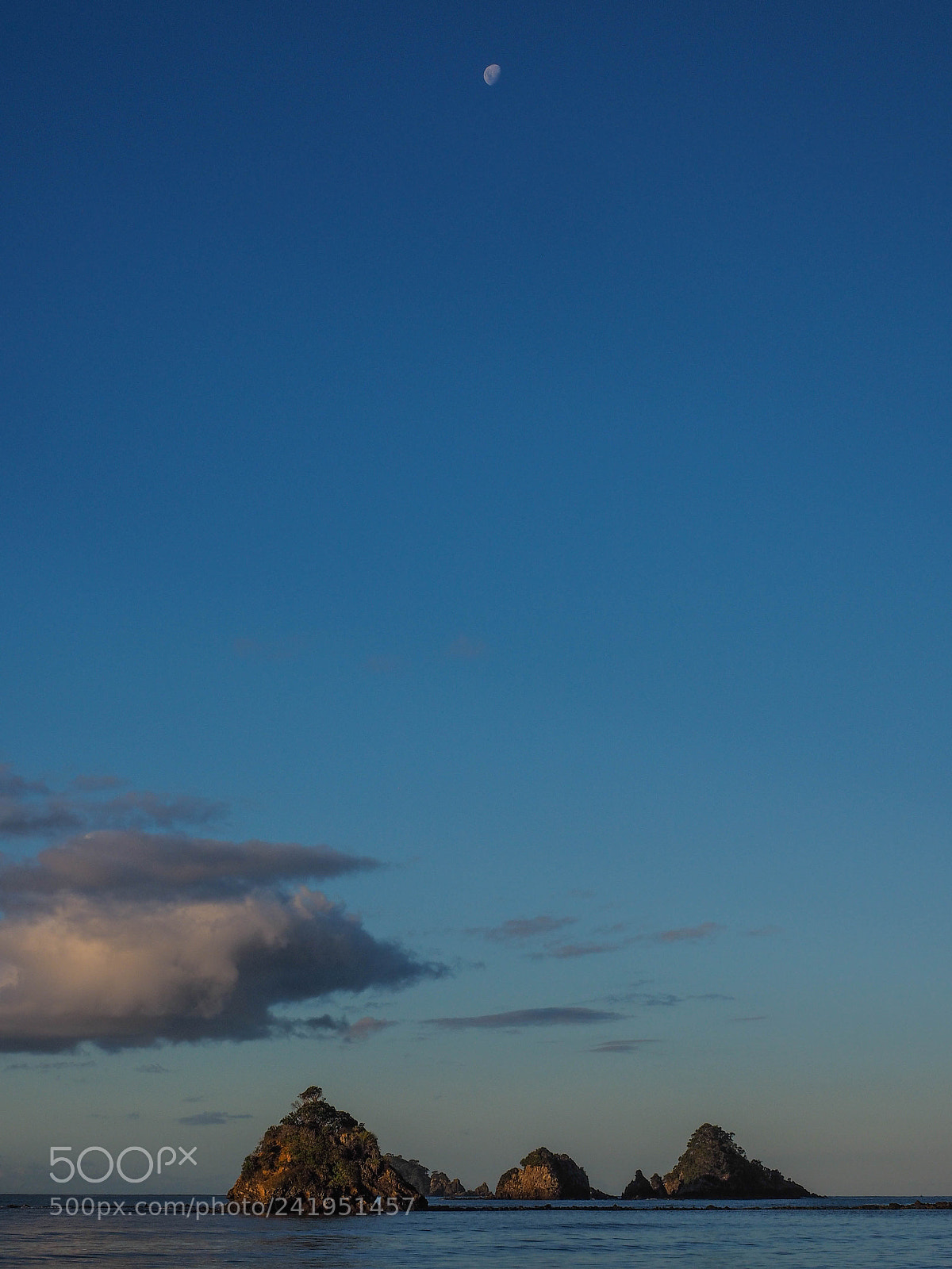 Olympus OM-D E-M1 sample photo. Northland new zealand photography