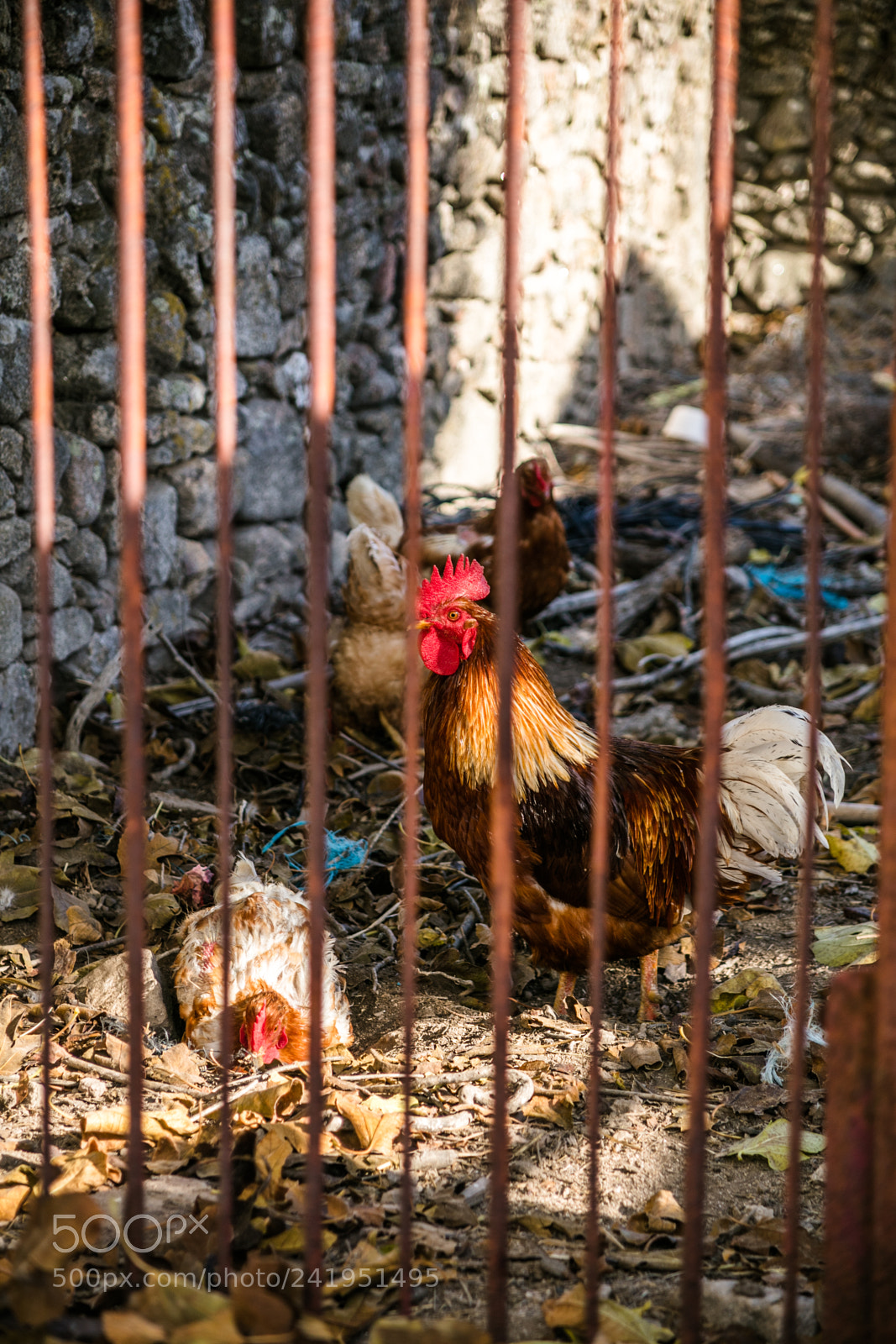 Canon EOS 5DS R sample photo. Na photography