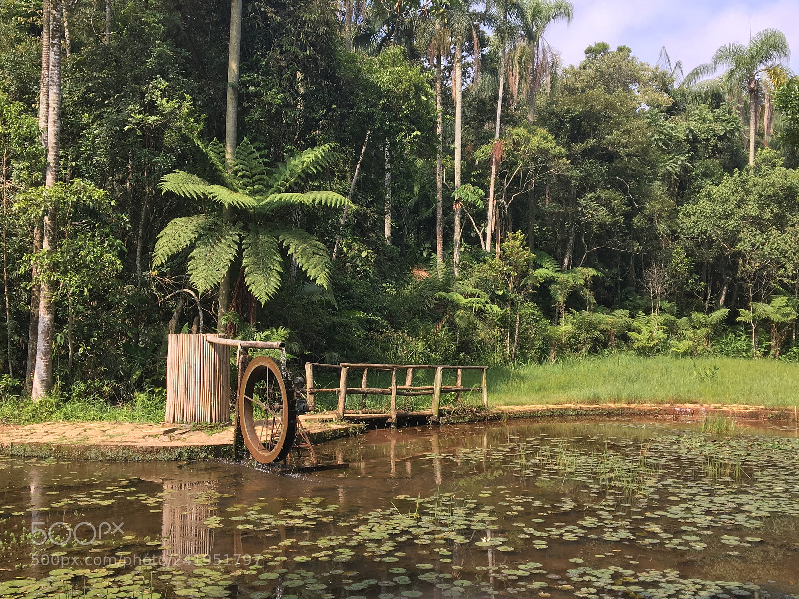 Apple iPhone 6s sample photo. Botanical garden of s photography
