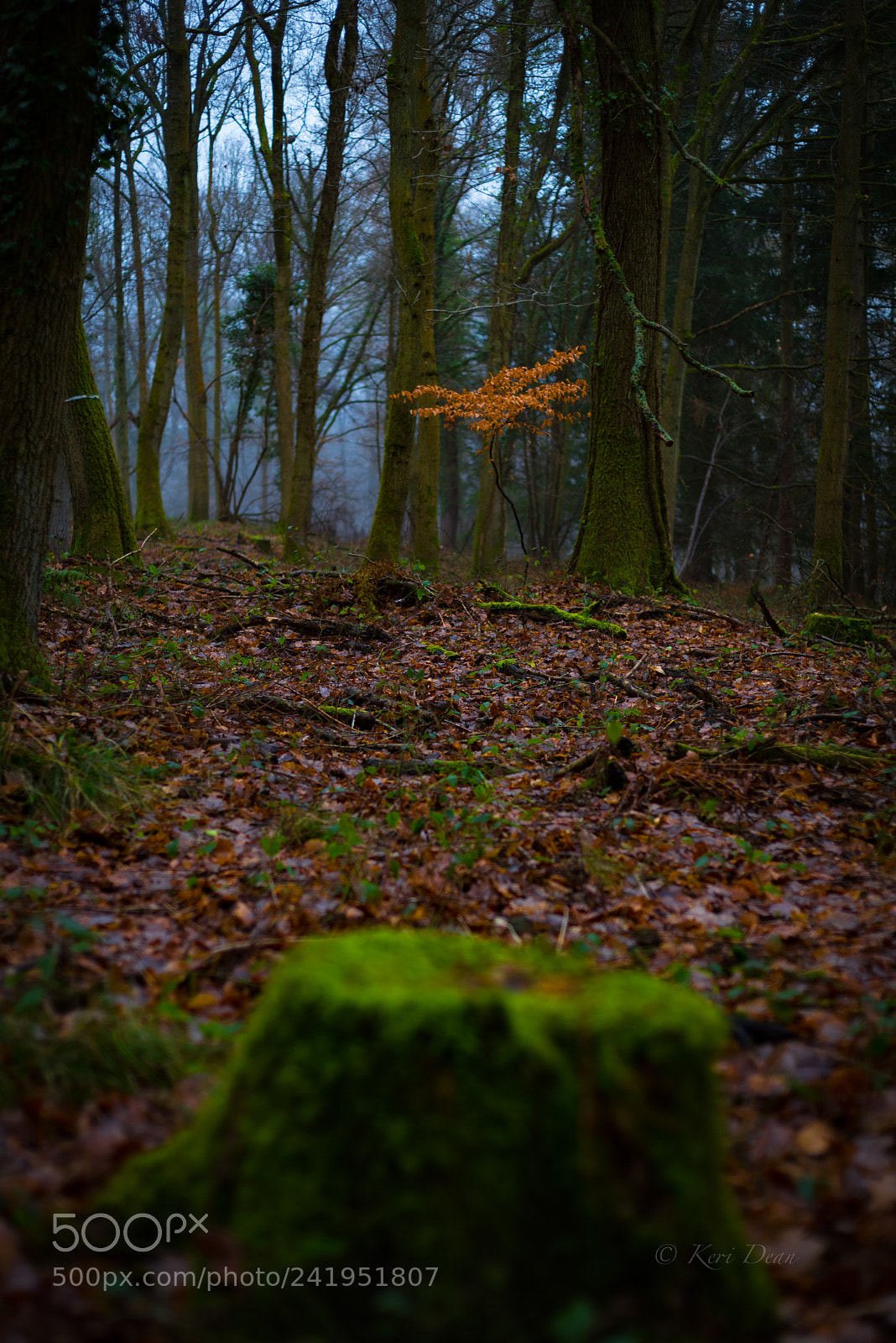 Nikon D810 sample photo. The old & new photography