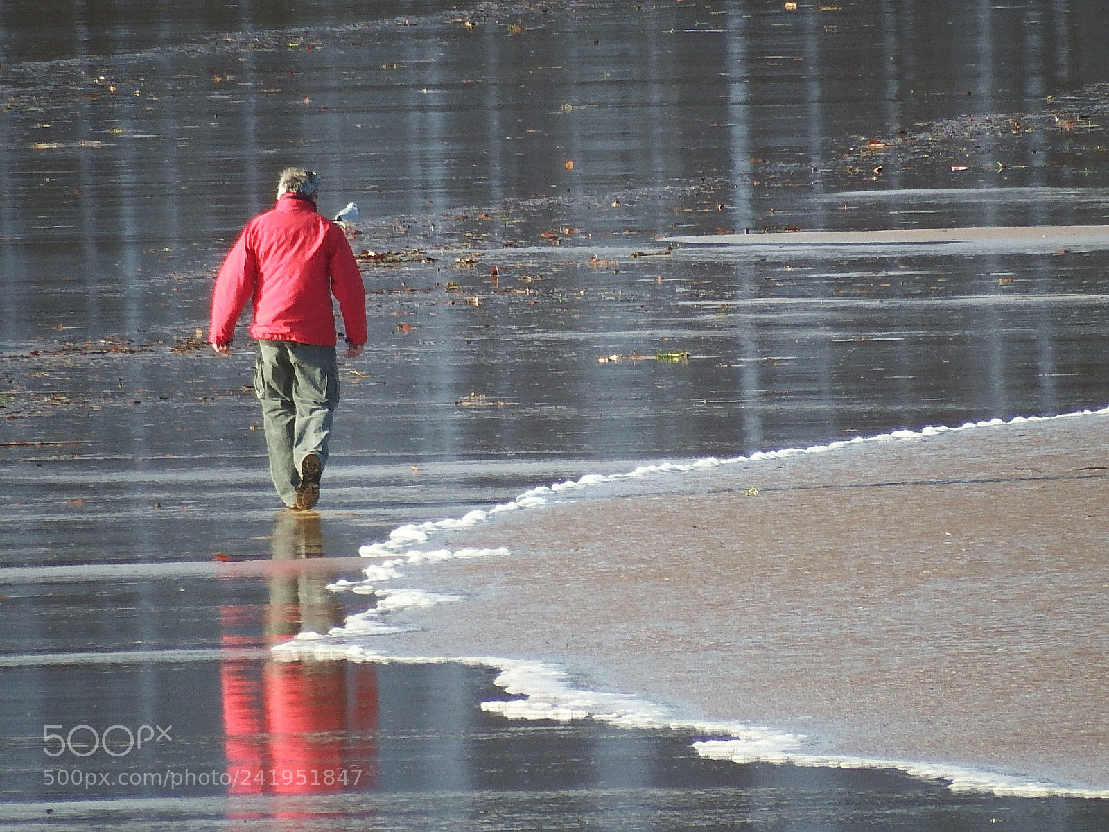 Fujifilm FinePix S1 sample photo. Alone with the sea photography